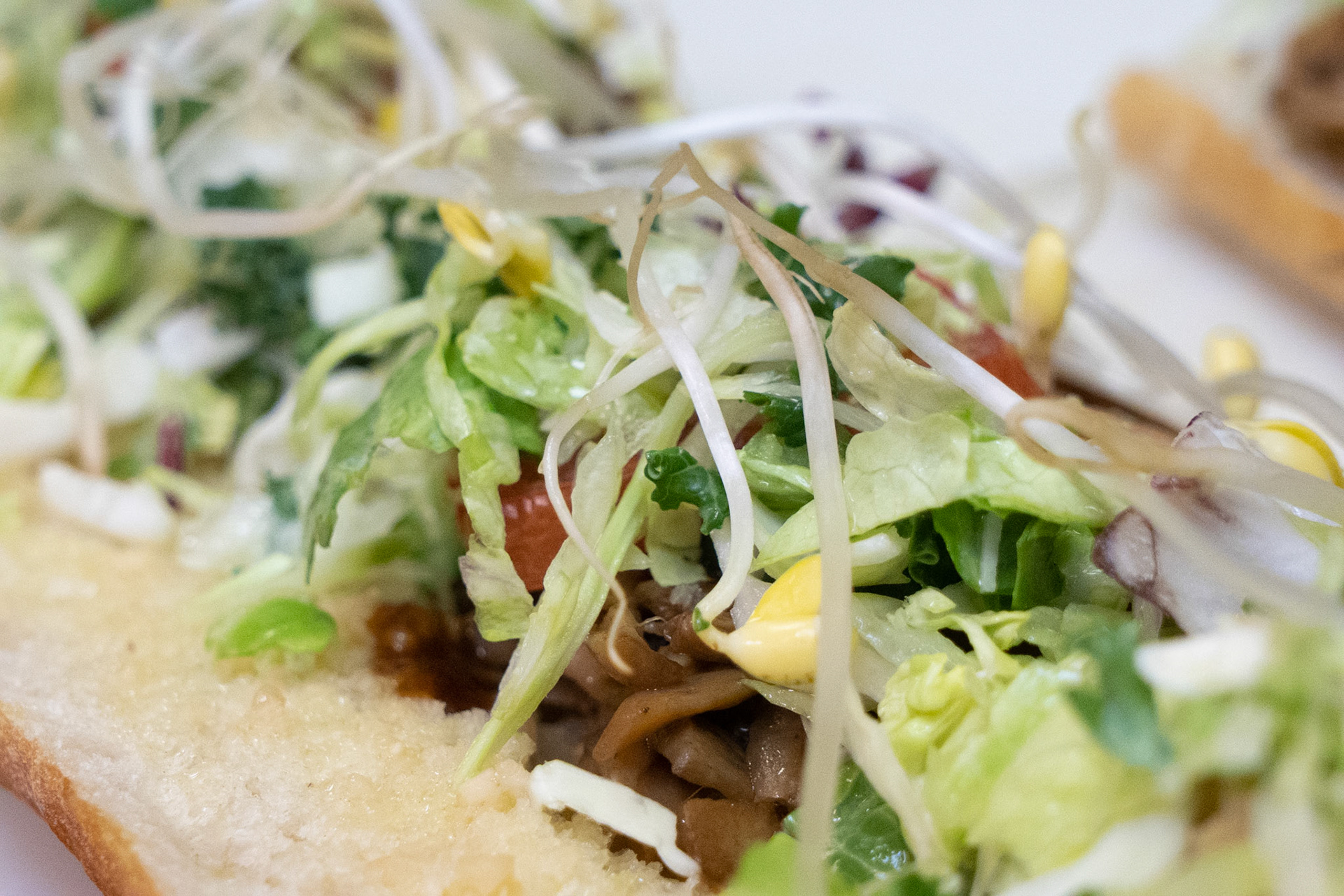 photo credit: witty.media