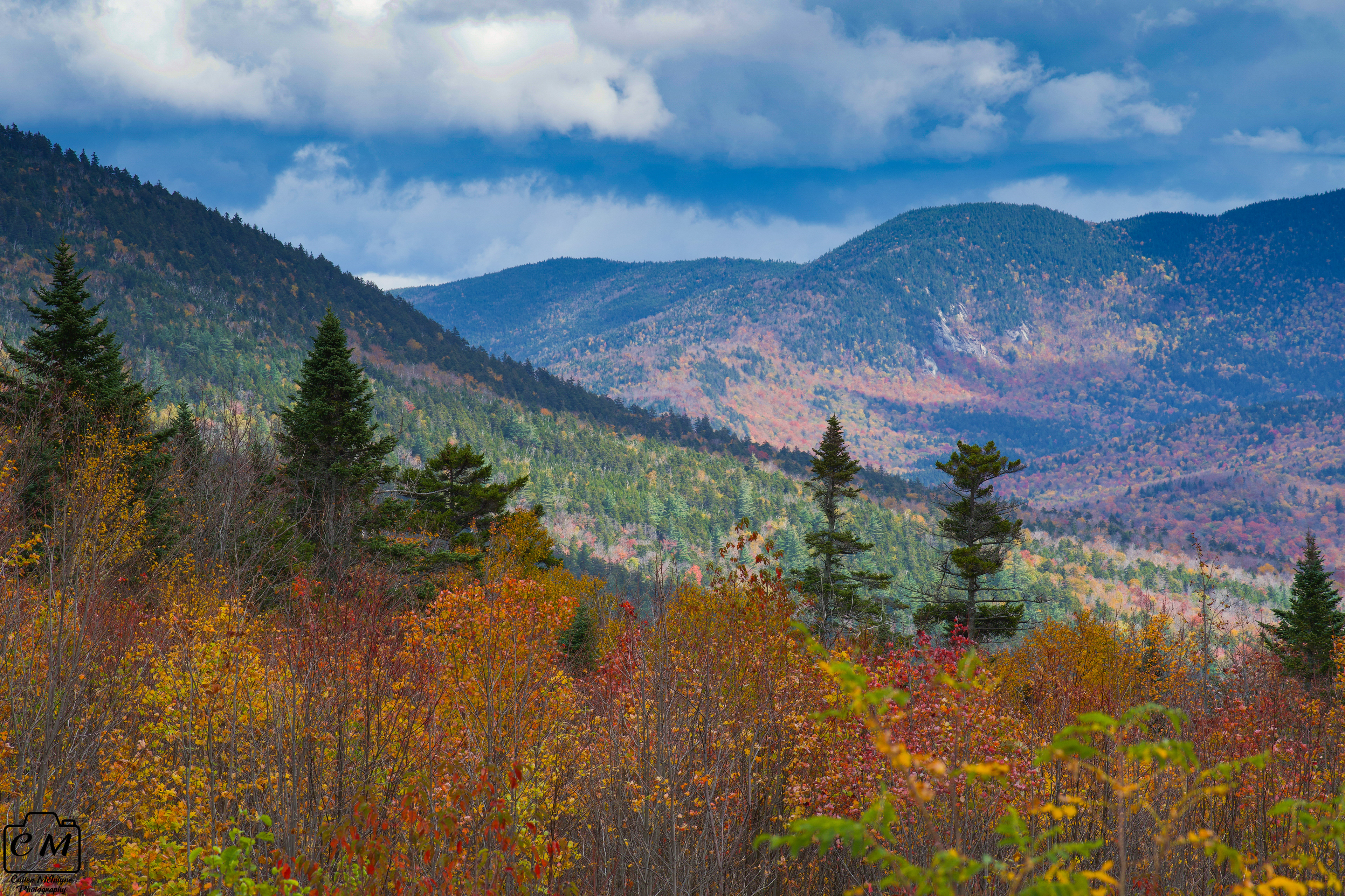 White Mountains