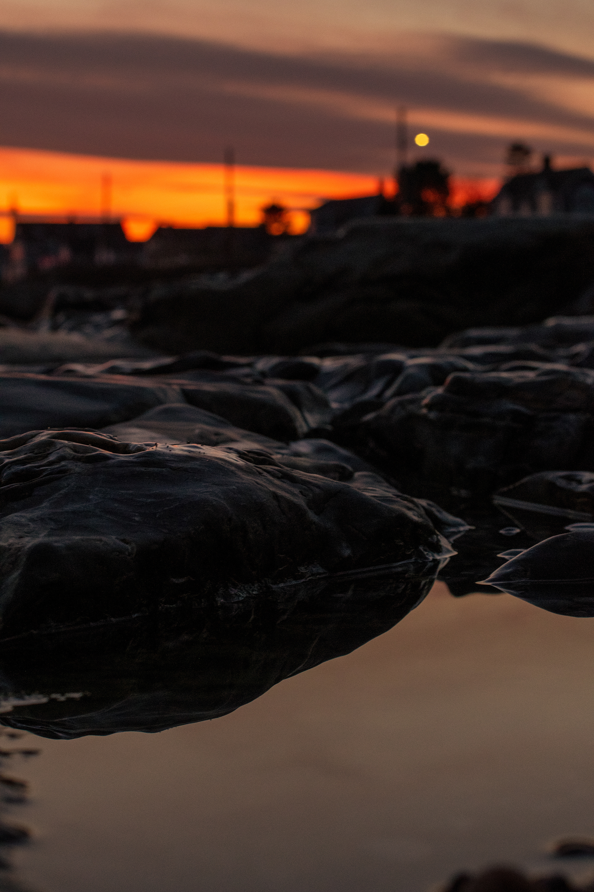 Biddeford Pool