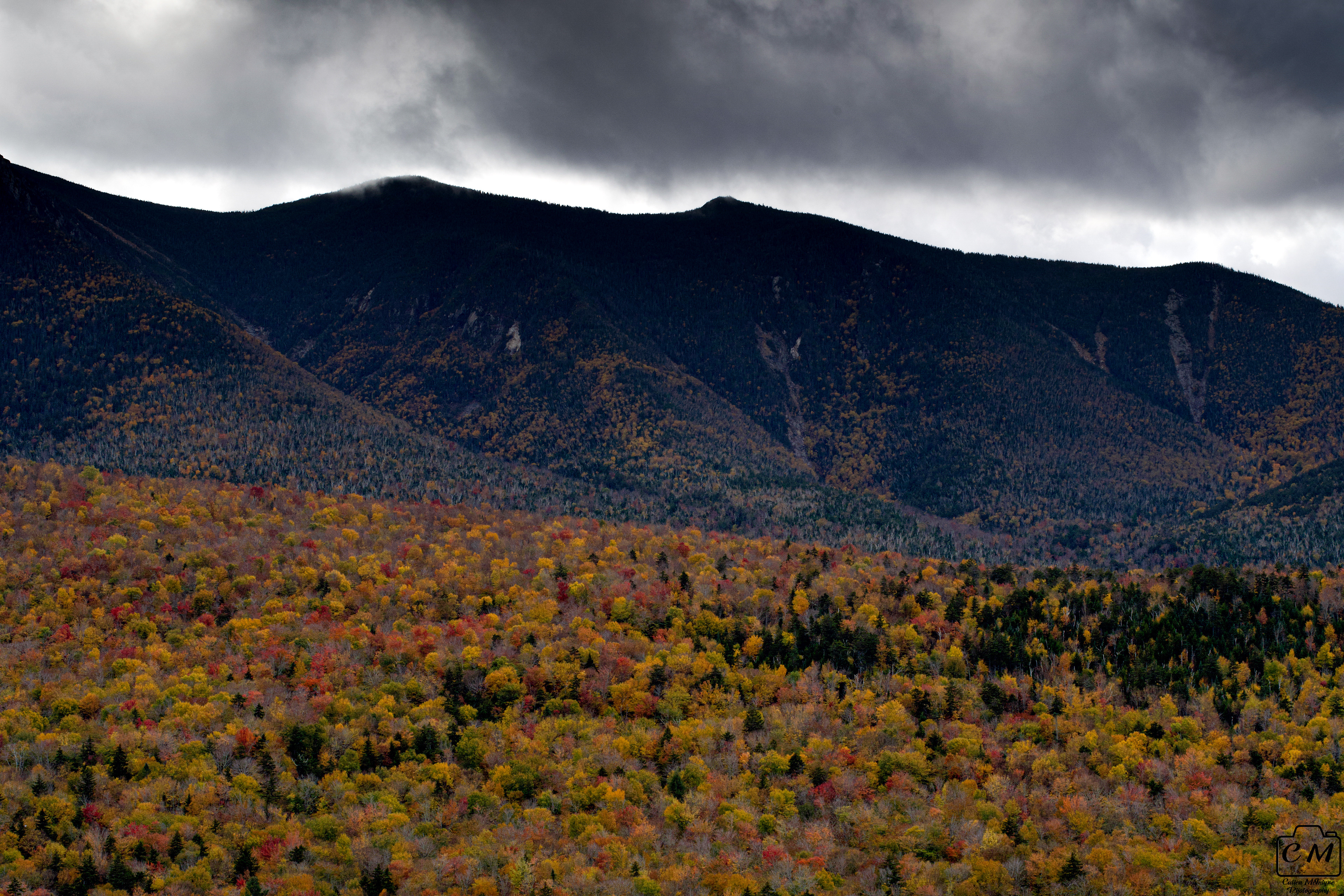 White Mountains