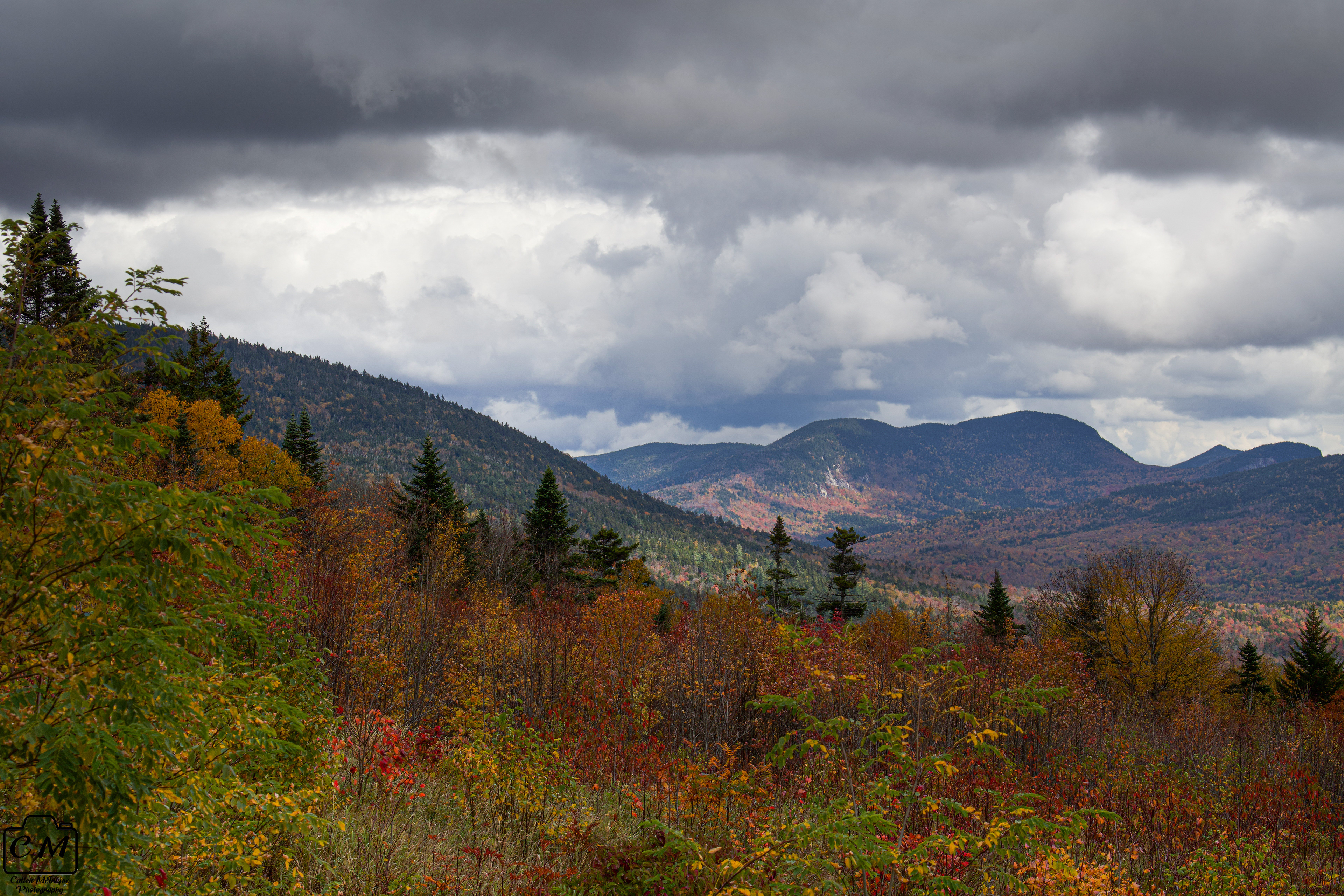 White Mountains