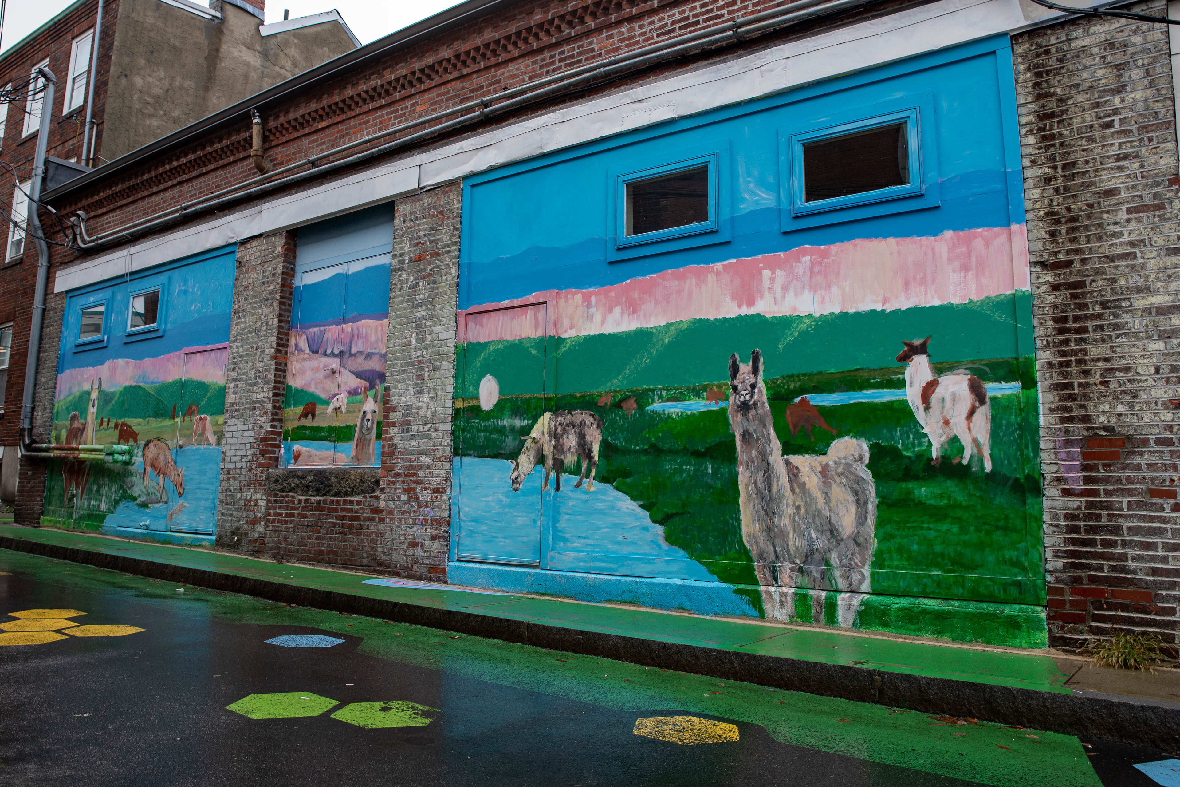 The beginning of the Division Street Neighborway Project by Chelsea Prospers