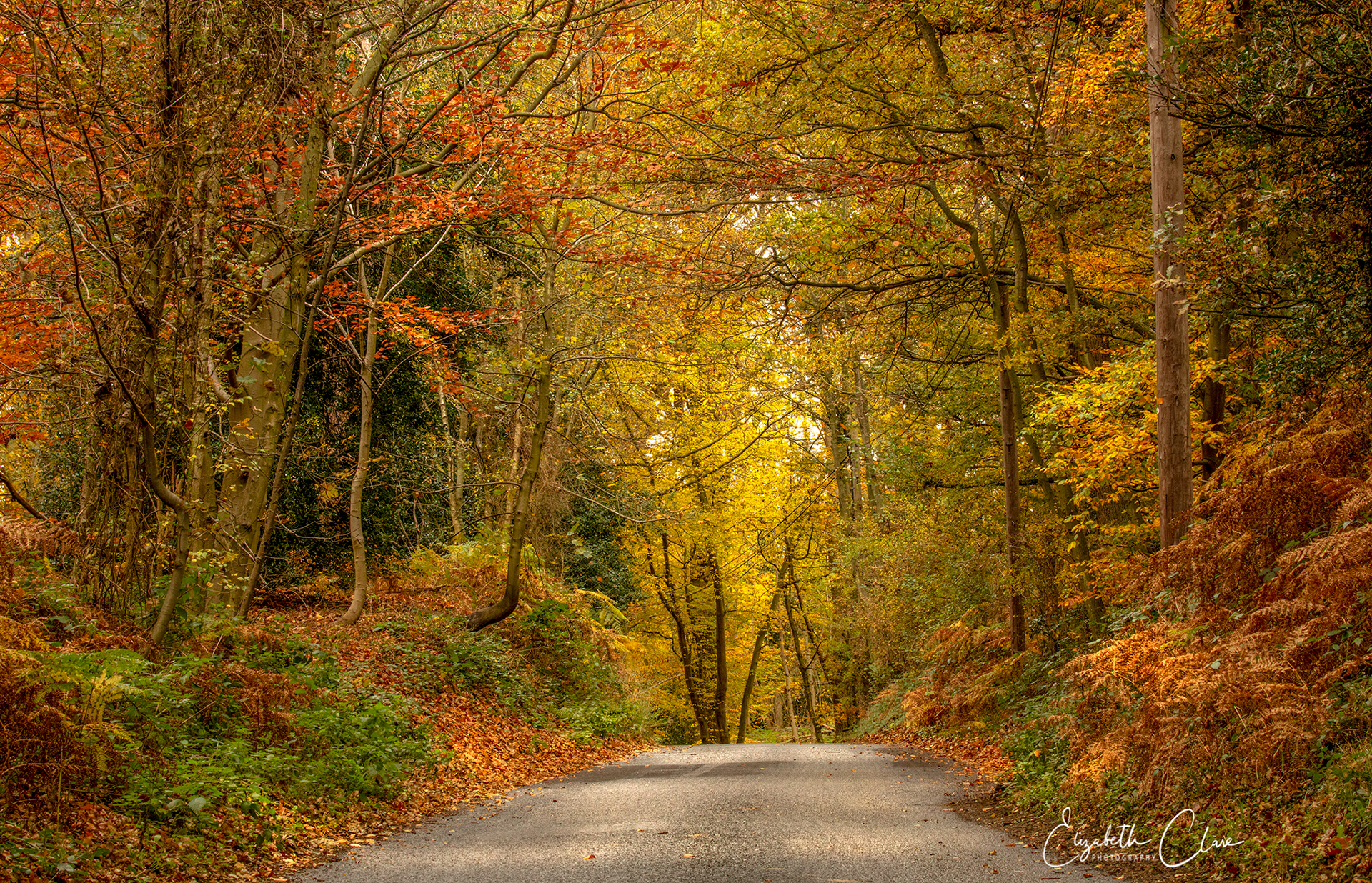 Danbury