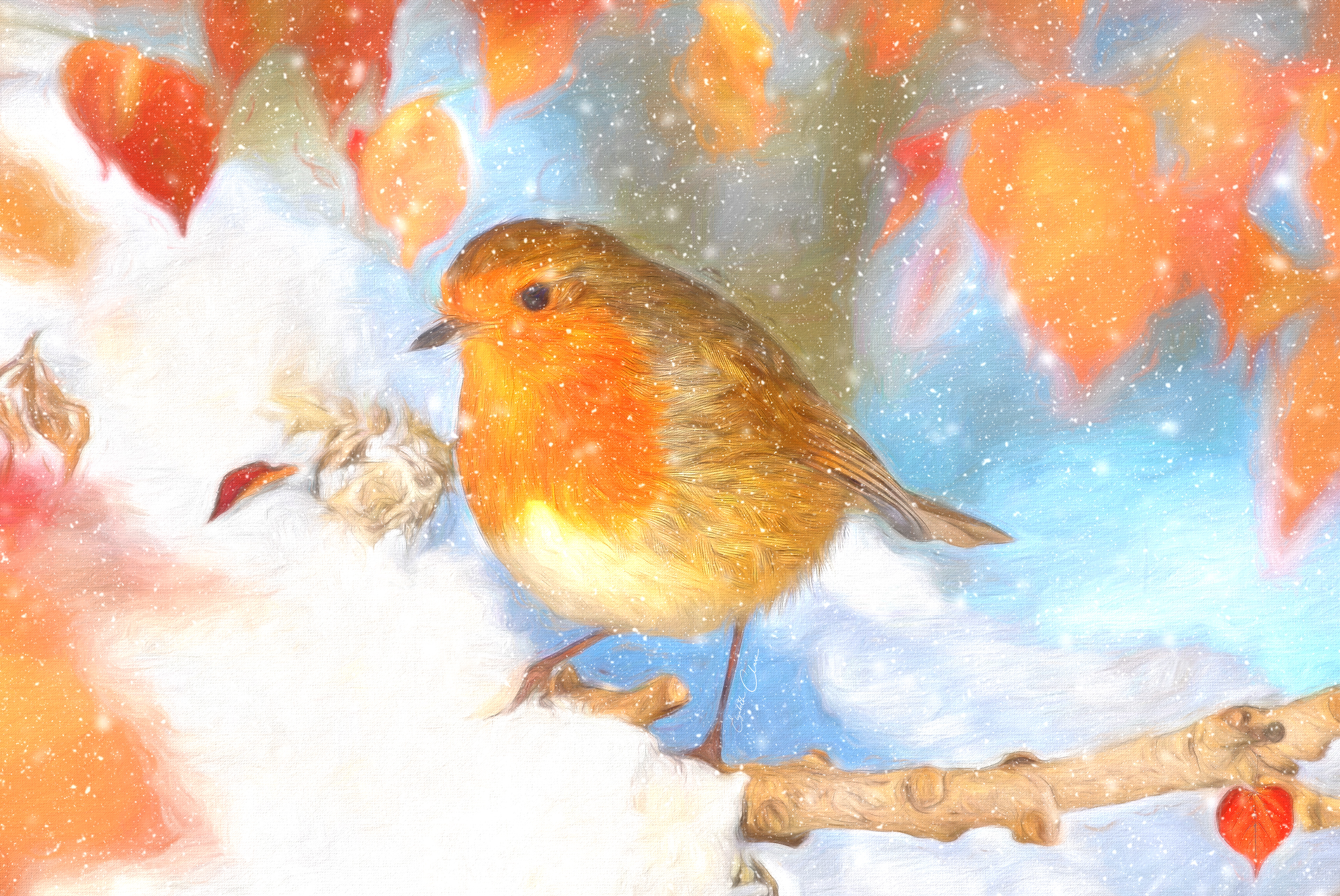 Little Robin (Maldon Robin) Christmas Card A5 £2.50 (Blank inside)