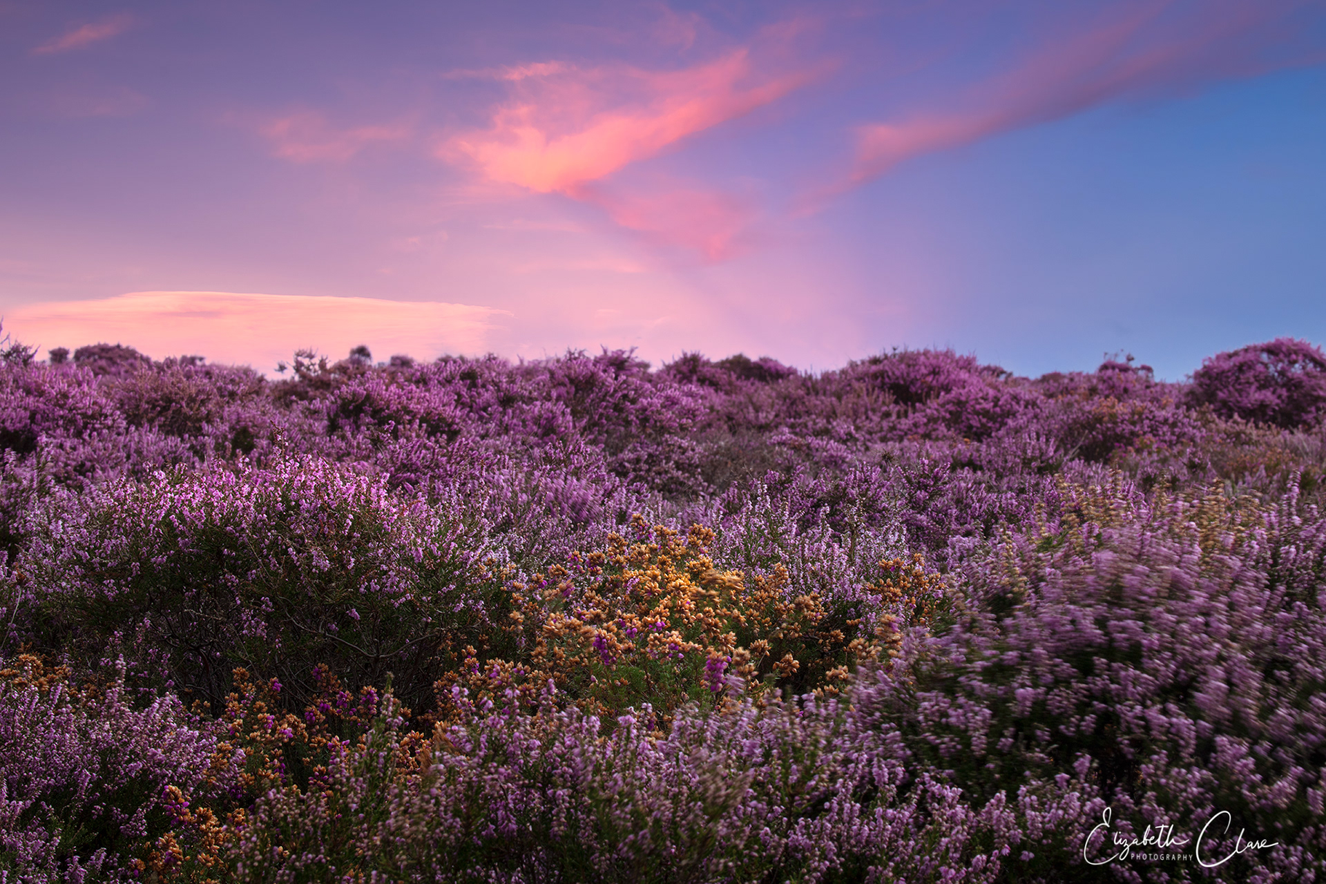 Dunwich Heath