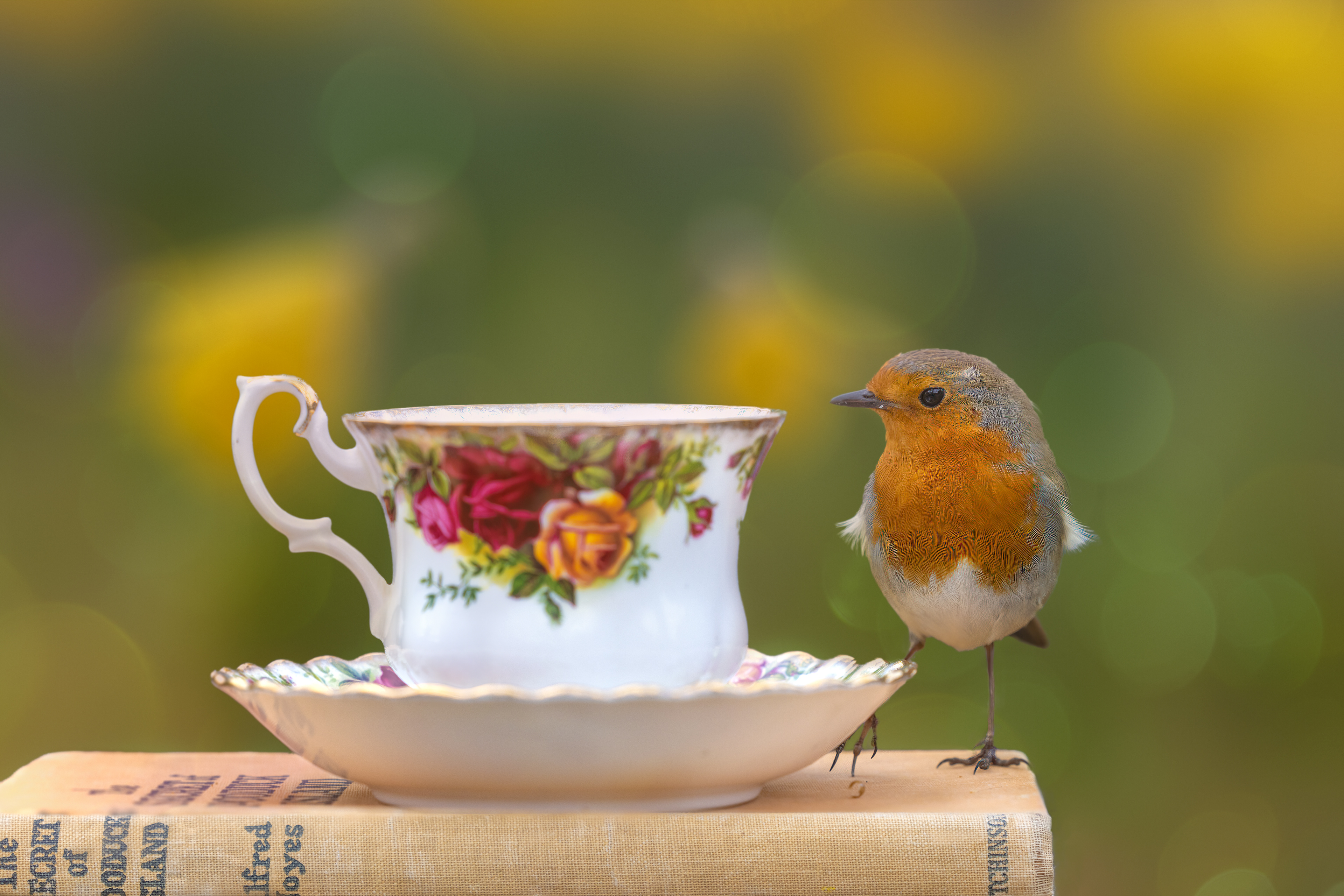 Anyone for Tea - A5 Card - Blank Inside - £2.50