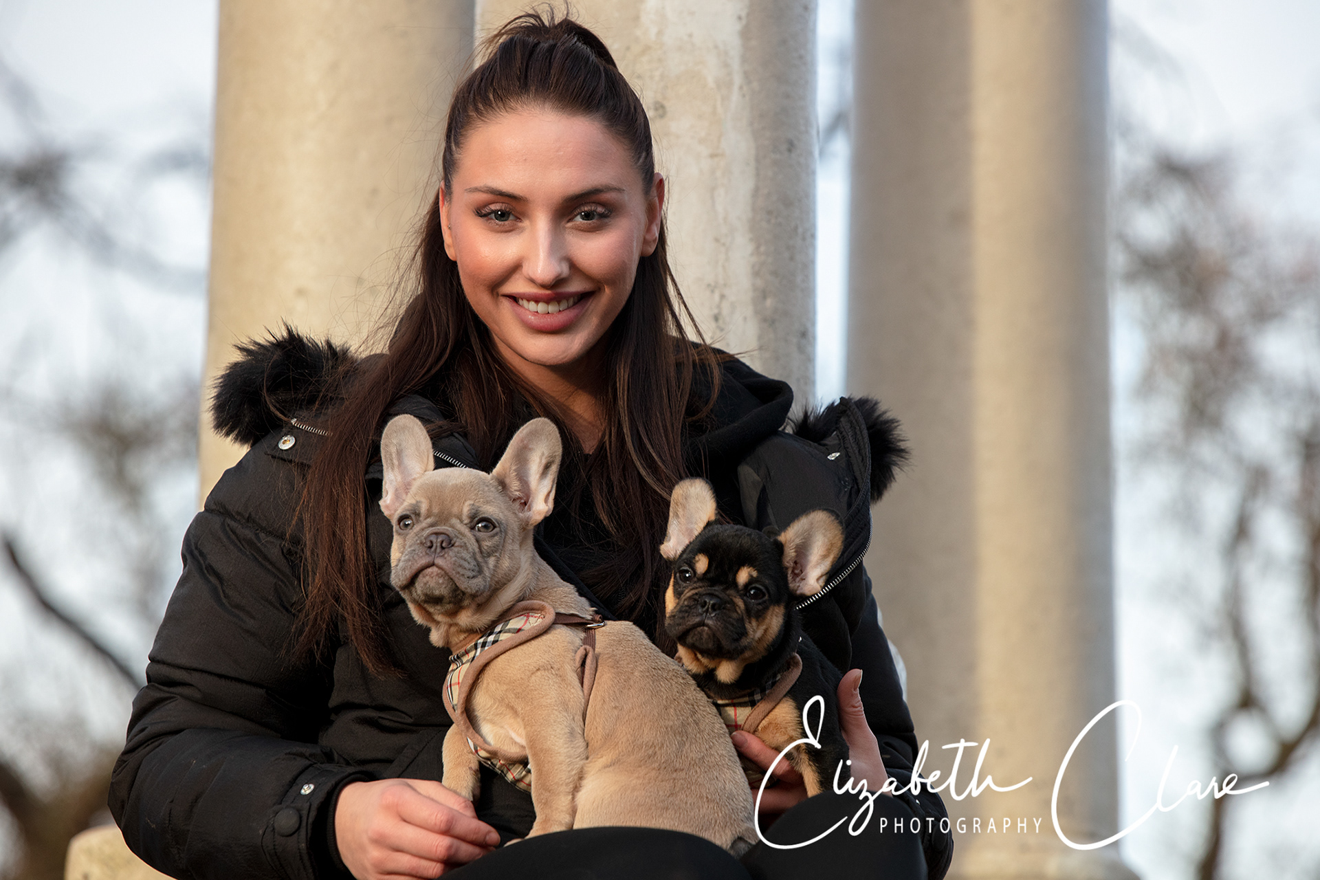 French Bulldog Shoot November 2019