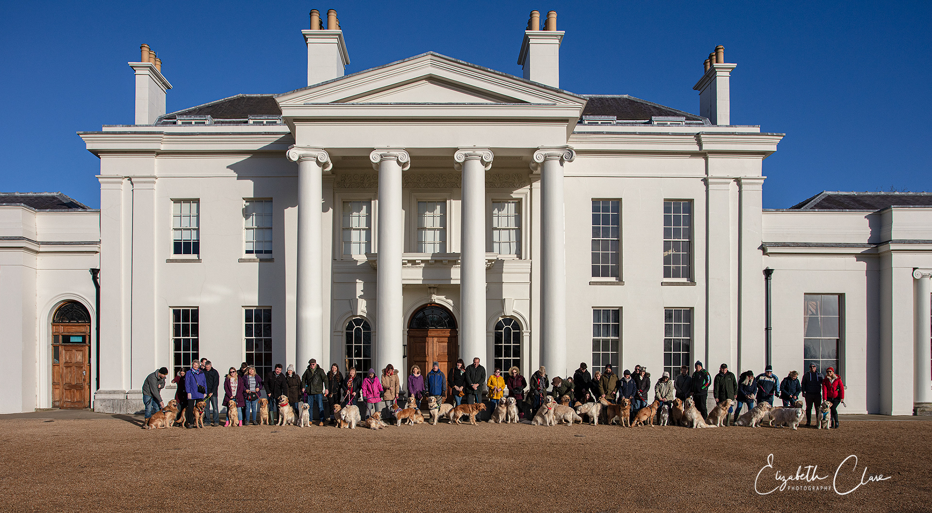 Golden Retriever Meet Hyland's Park House December 2019