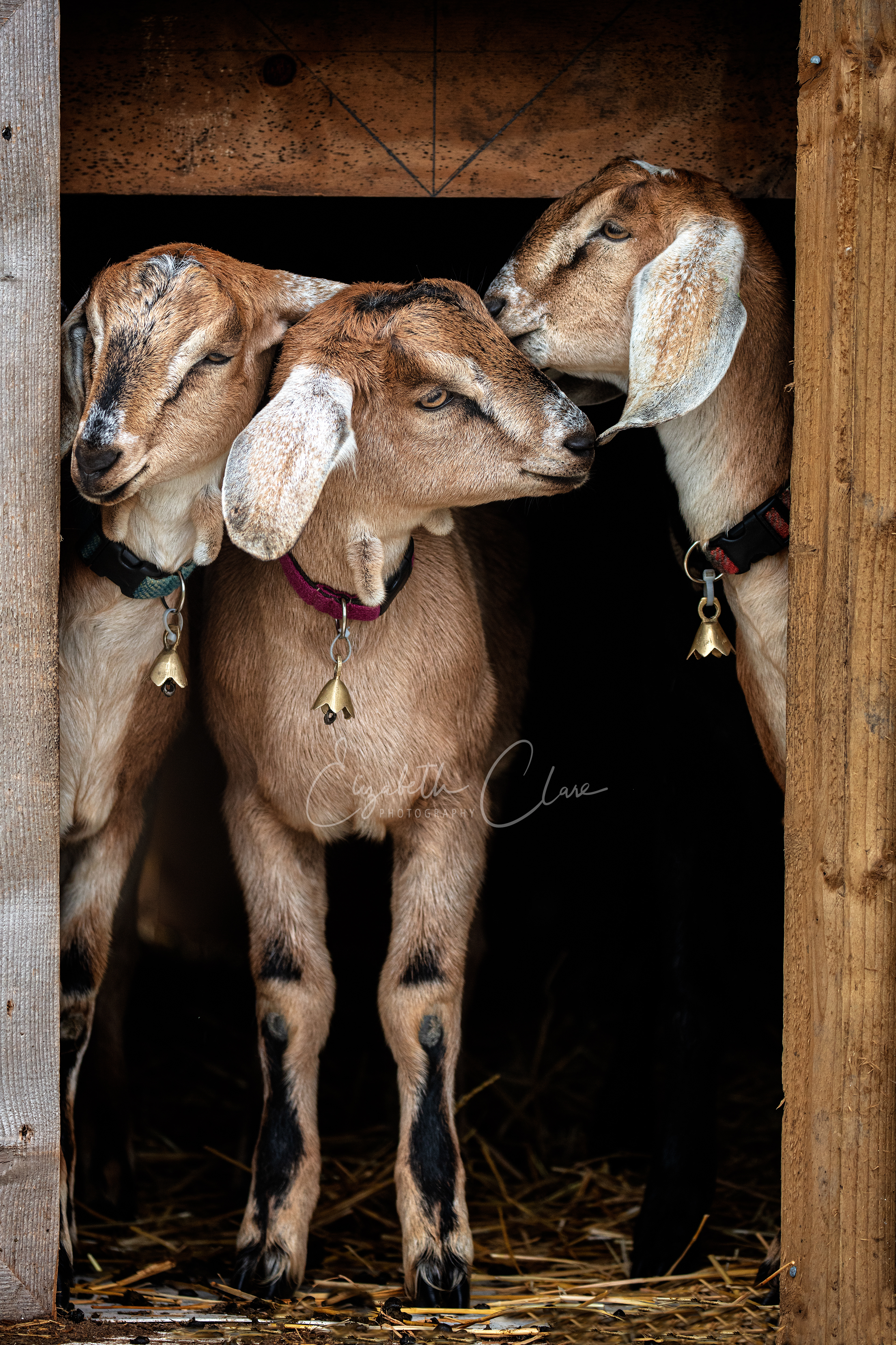 "Can you keep a secret"