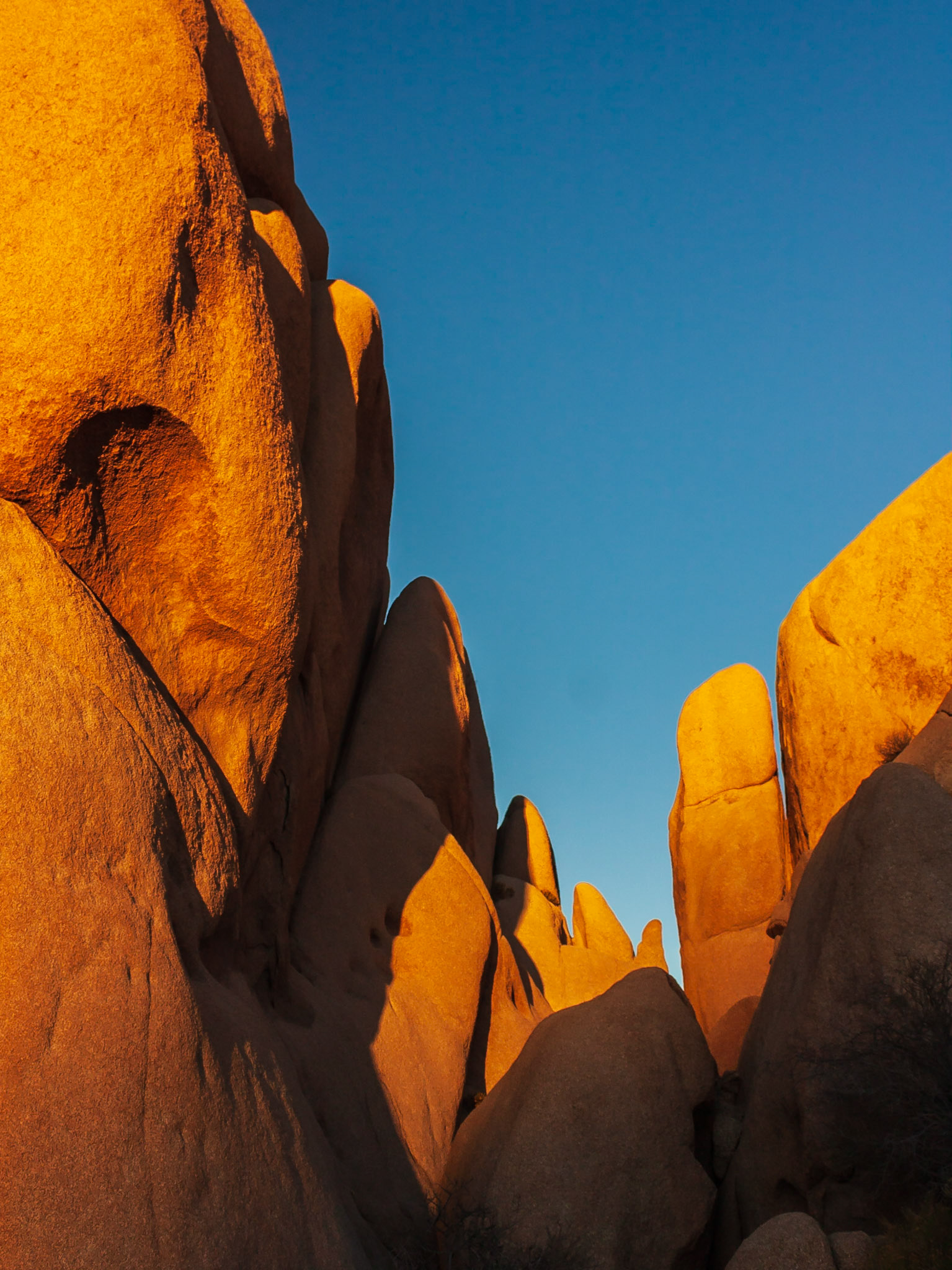 Sunset on Jumbo Rocks