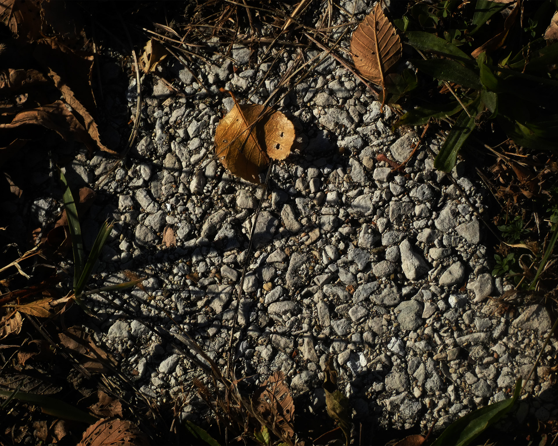 Barry Mei EXHIBIT I get my inspirations from everyday life. My goal is to become a better photographer by taking photos on a day to day basis.