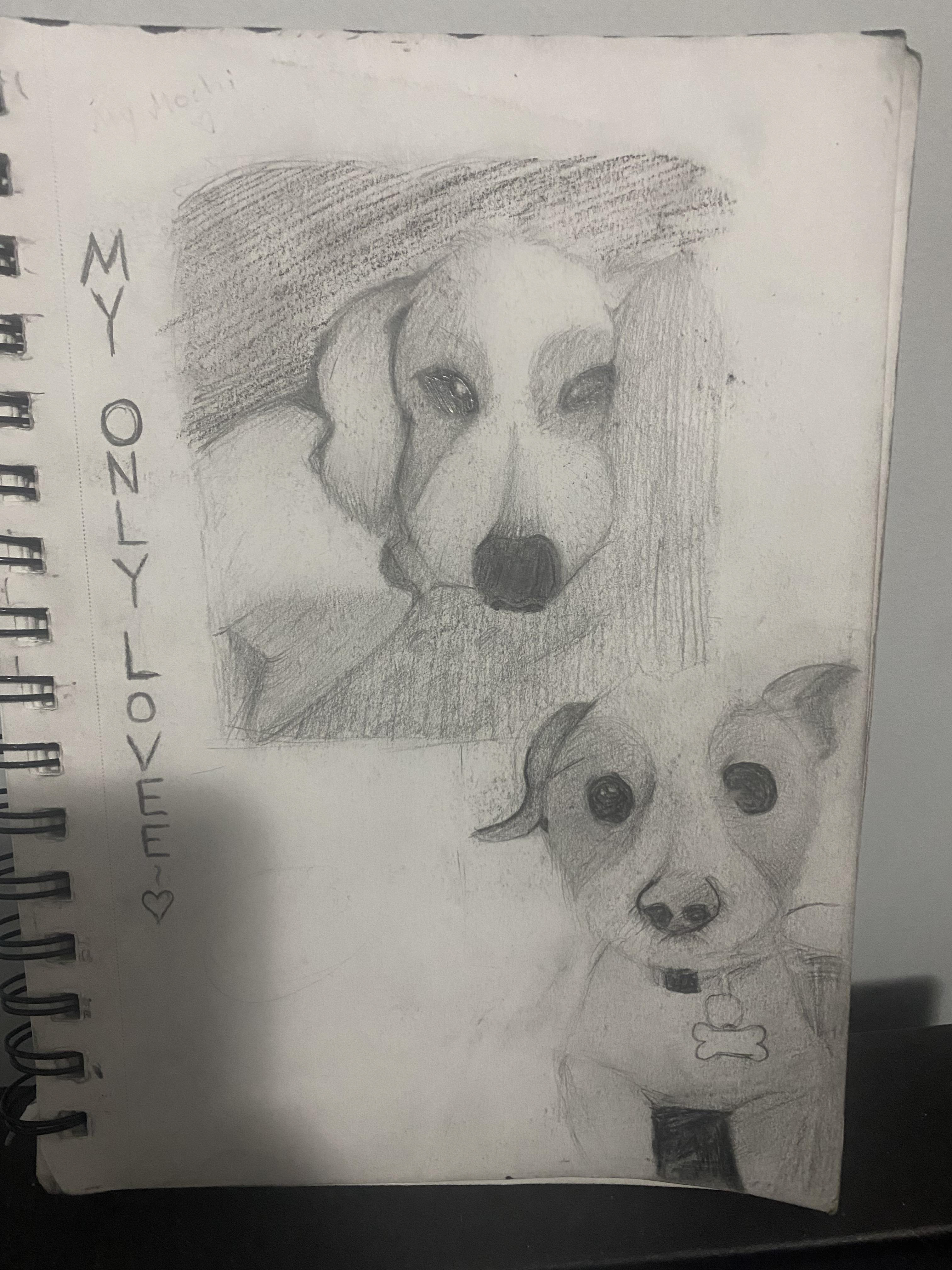 Melanie Miranda - I drew my best friend, my dog. I showed my appreciation for him by drawing him.
