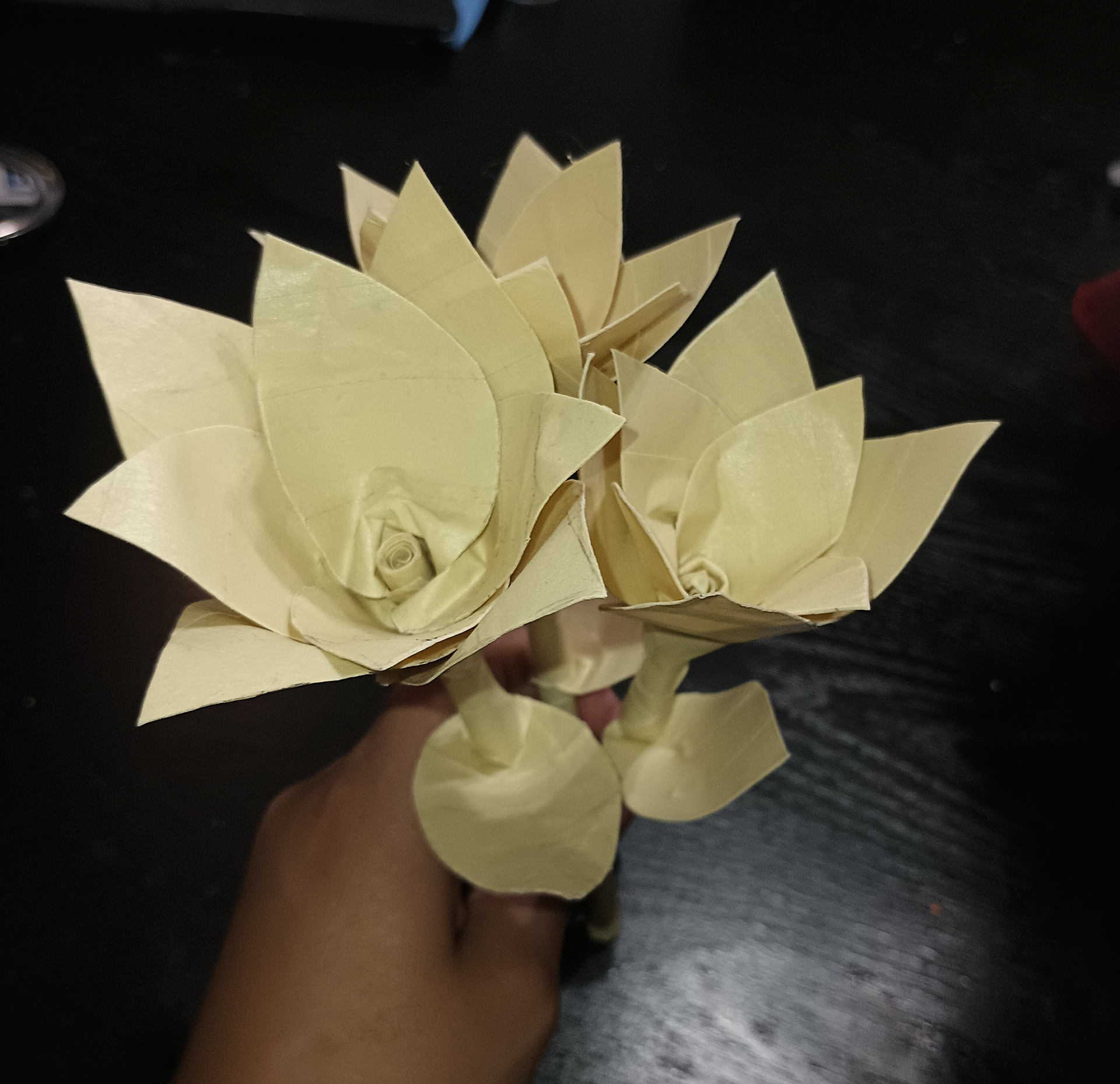 Diana Gallo Peralta Flowers made completely out of tape. Inspired by those everlasting flowers, wanted my own everlasting flower made by myself.