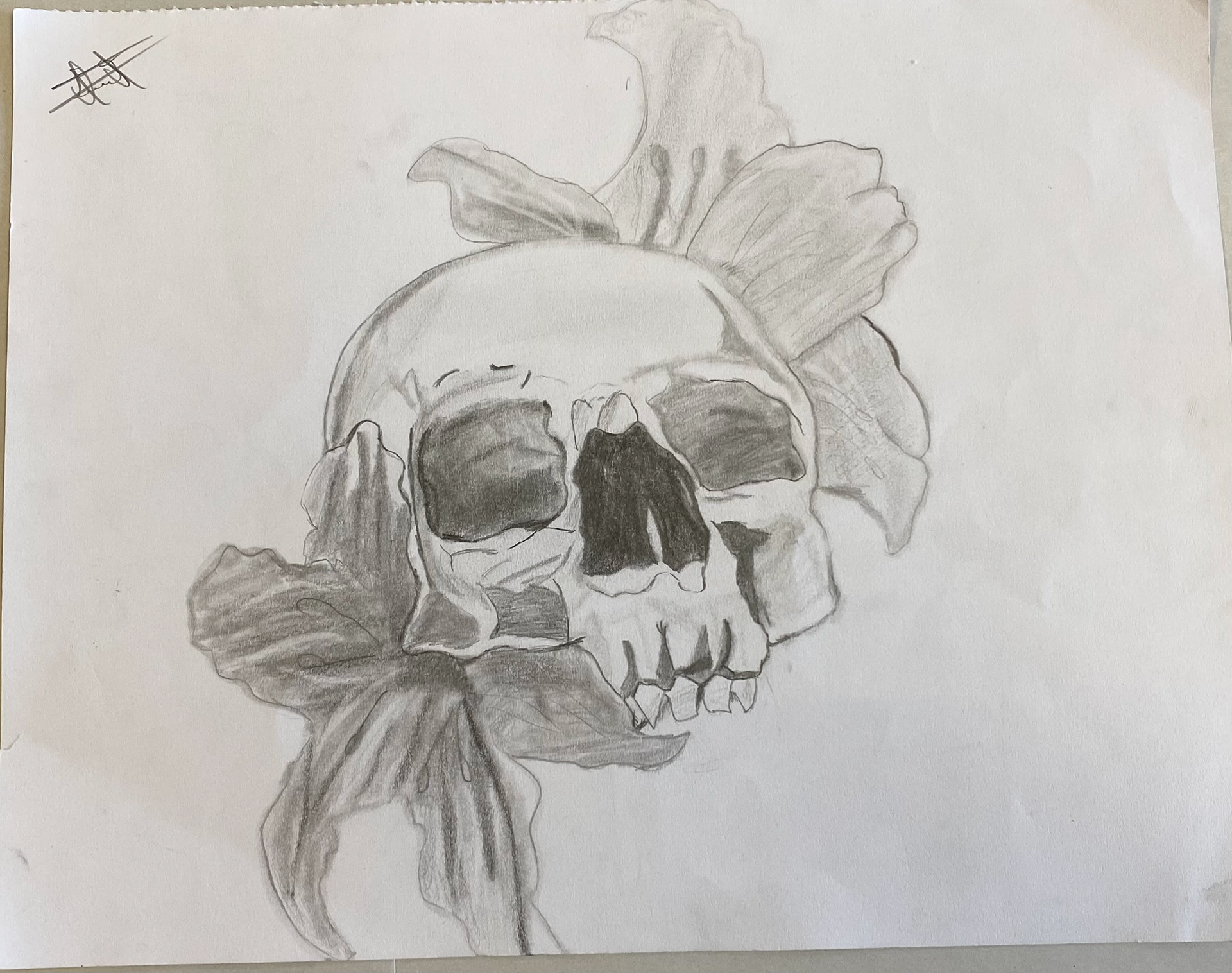 Franklin Suquilando - This pencil sketch shows the contrast between life and death. Death is sometimes beautiful. 