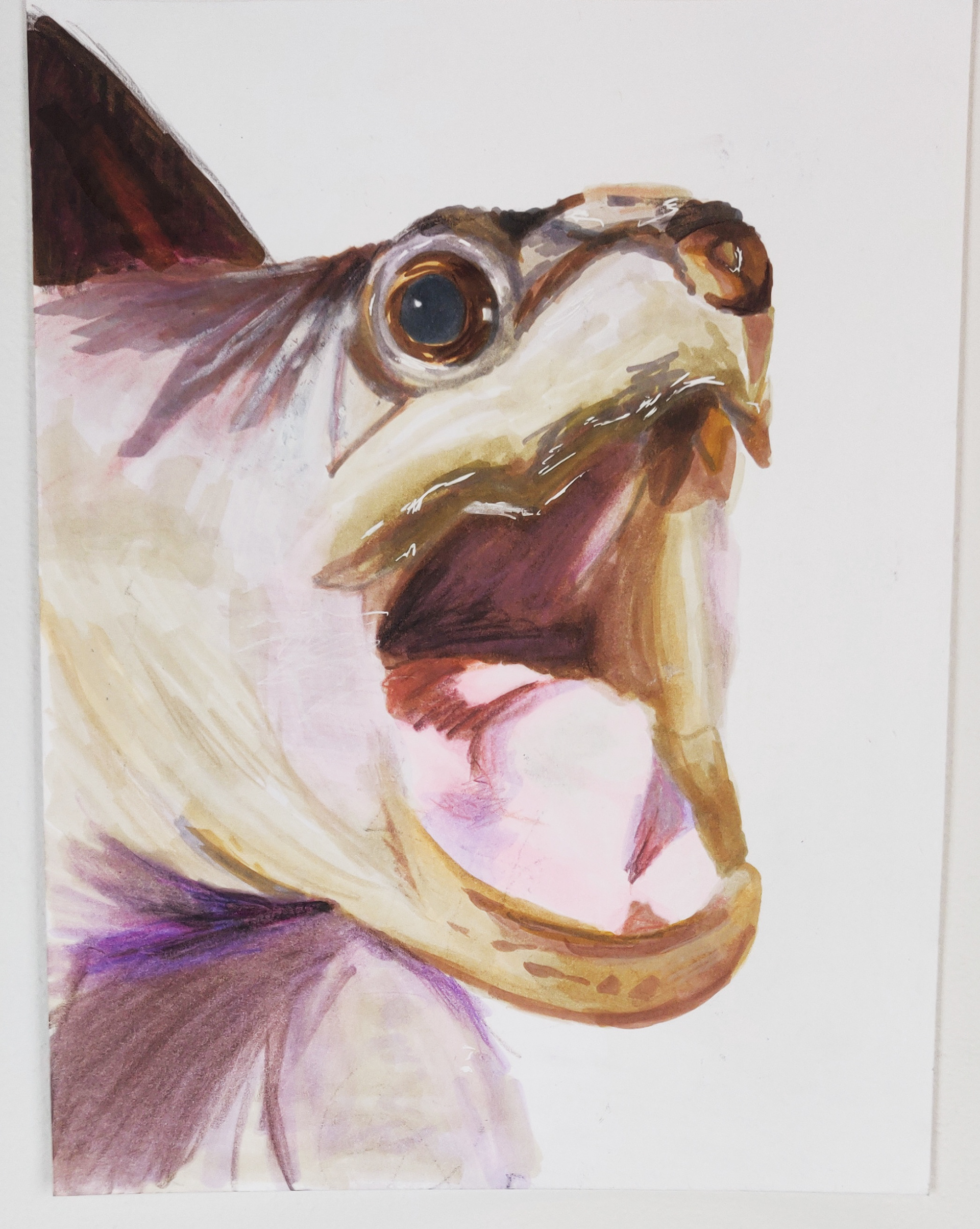 Angie Salazar - Using watercolor and ink to draw and design a realistic snapping turtle.
