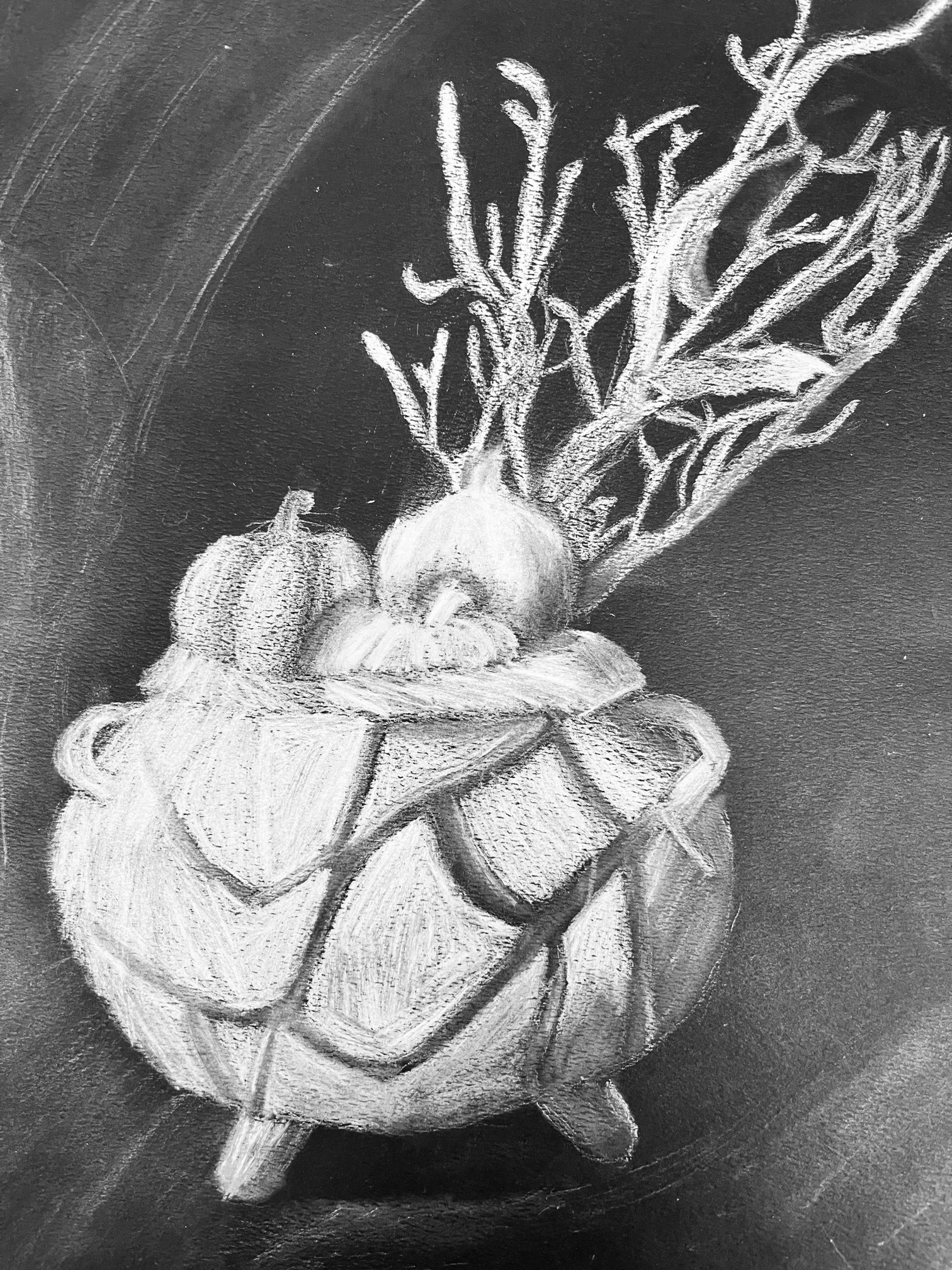 Jordan Harris - White charcoal still life on black paper.