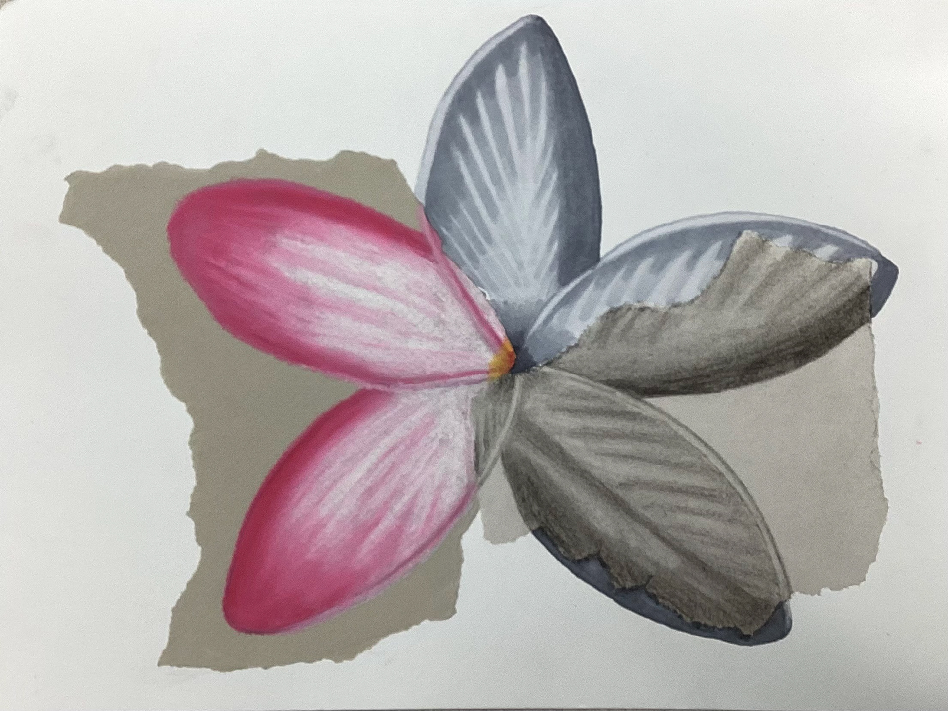 Daniela Rosales: Mixed media using oil pastel, marker and charcoal.