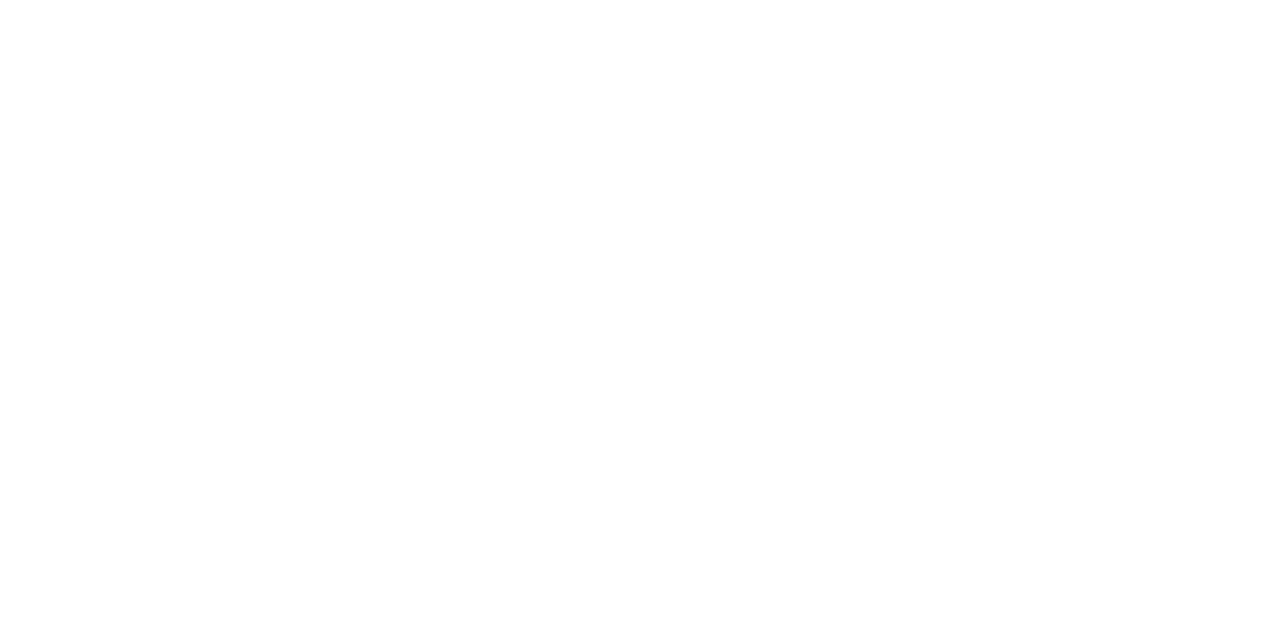 Лъчезар Иванов | Lachezar Ivanov