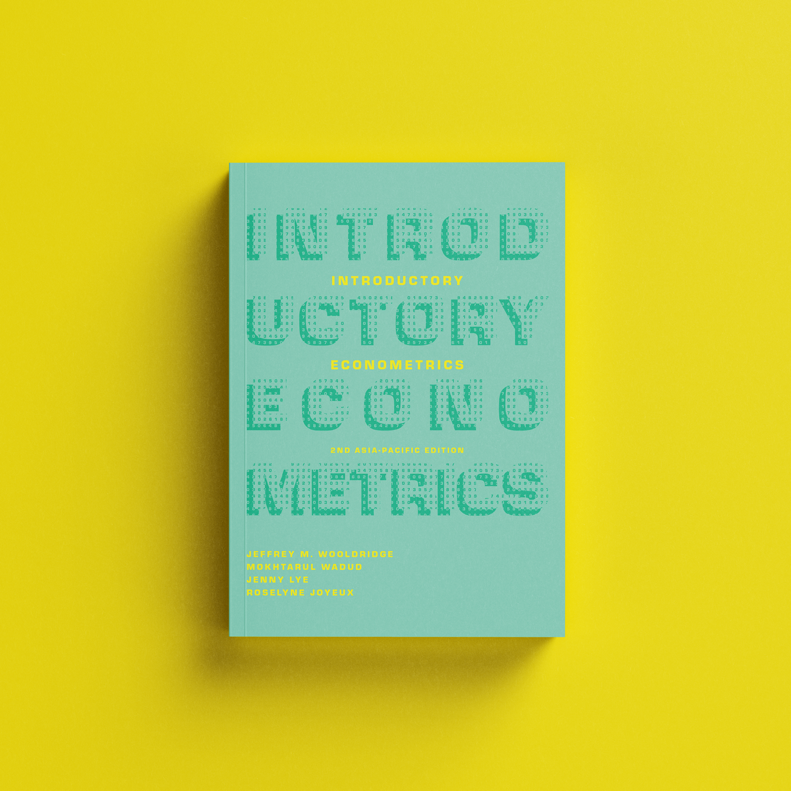 Book cover image showing a light teal background with the word Introductory Econometrics in the foreground made up of numbers shaped into the letters.