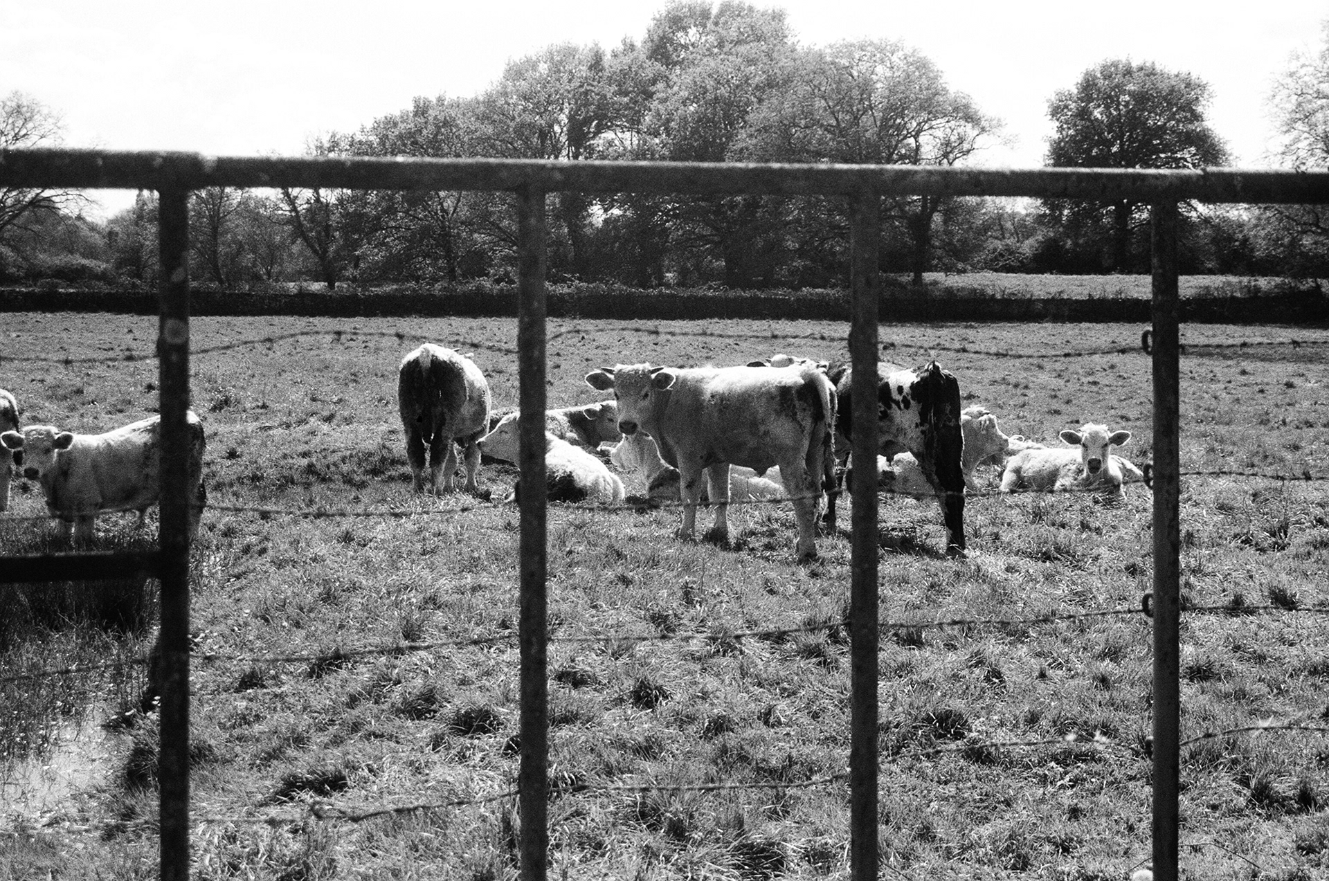 Loire-Atlantique © Astrid Karoual