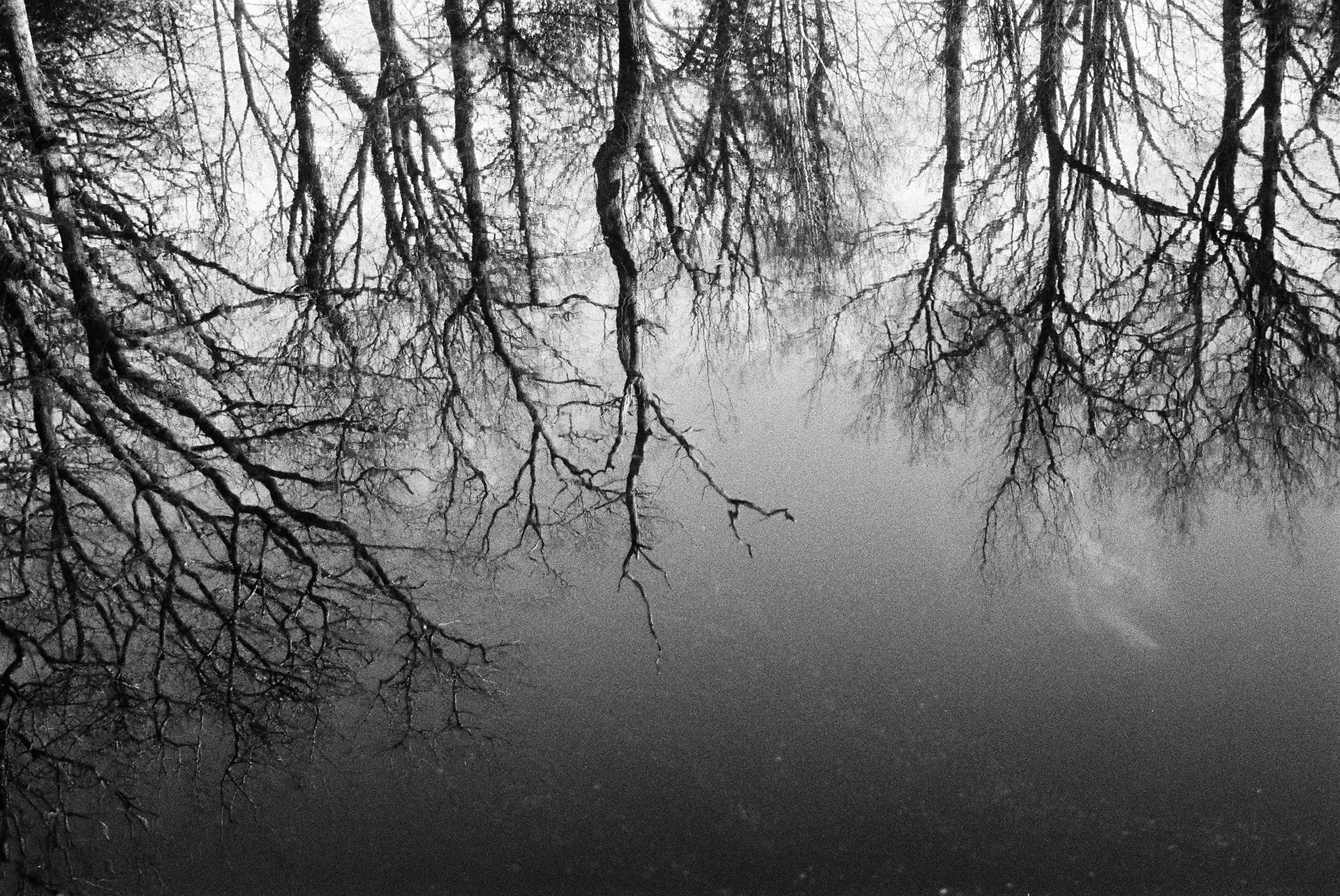 Loire-Atlantique © Astrid Karoual