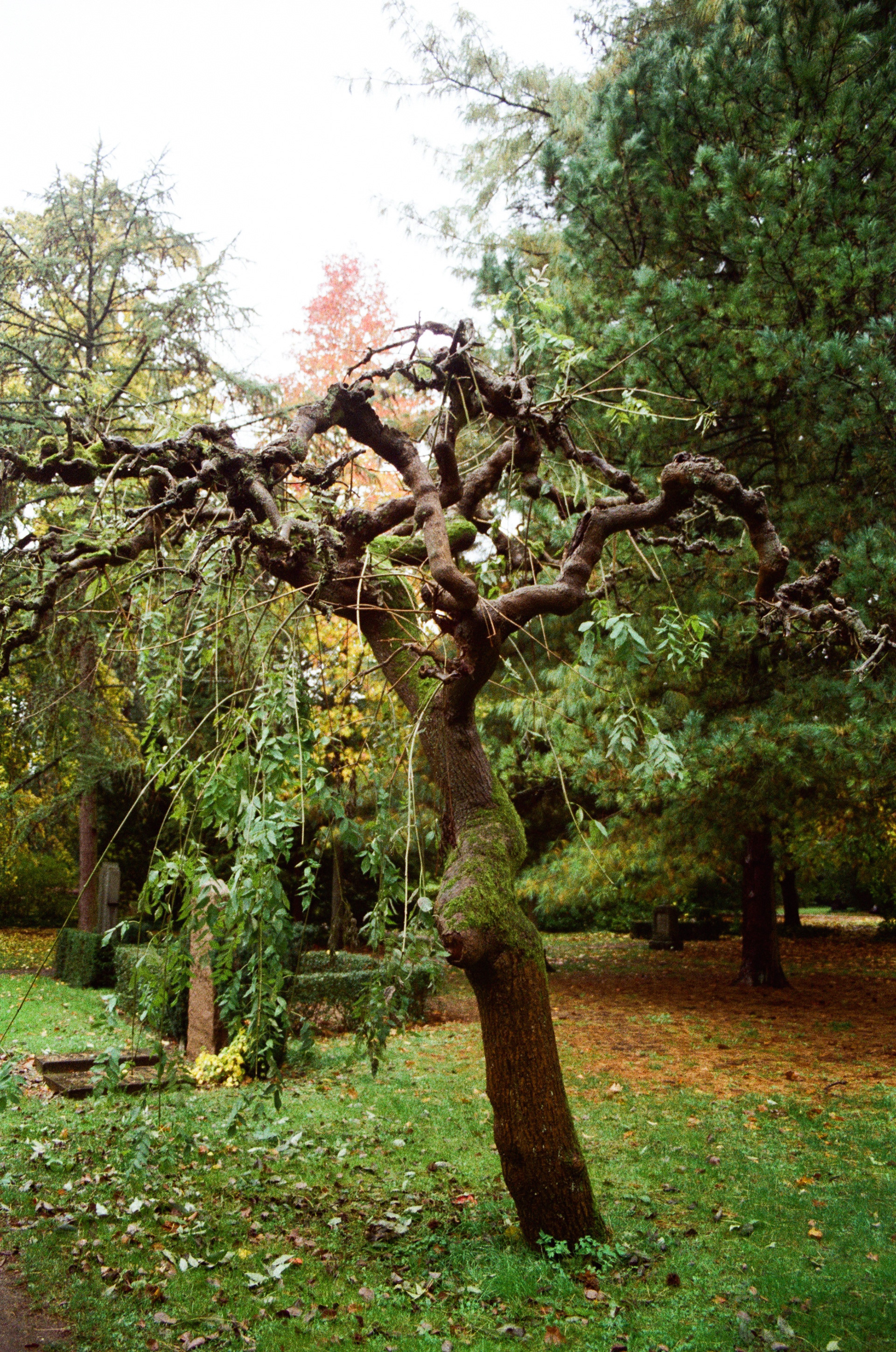 Copenhague (Danemark) © Astrid Karoual