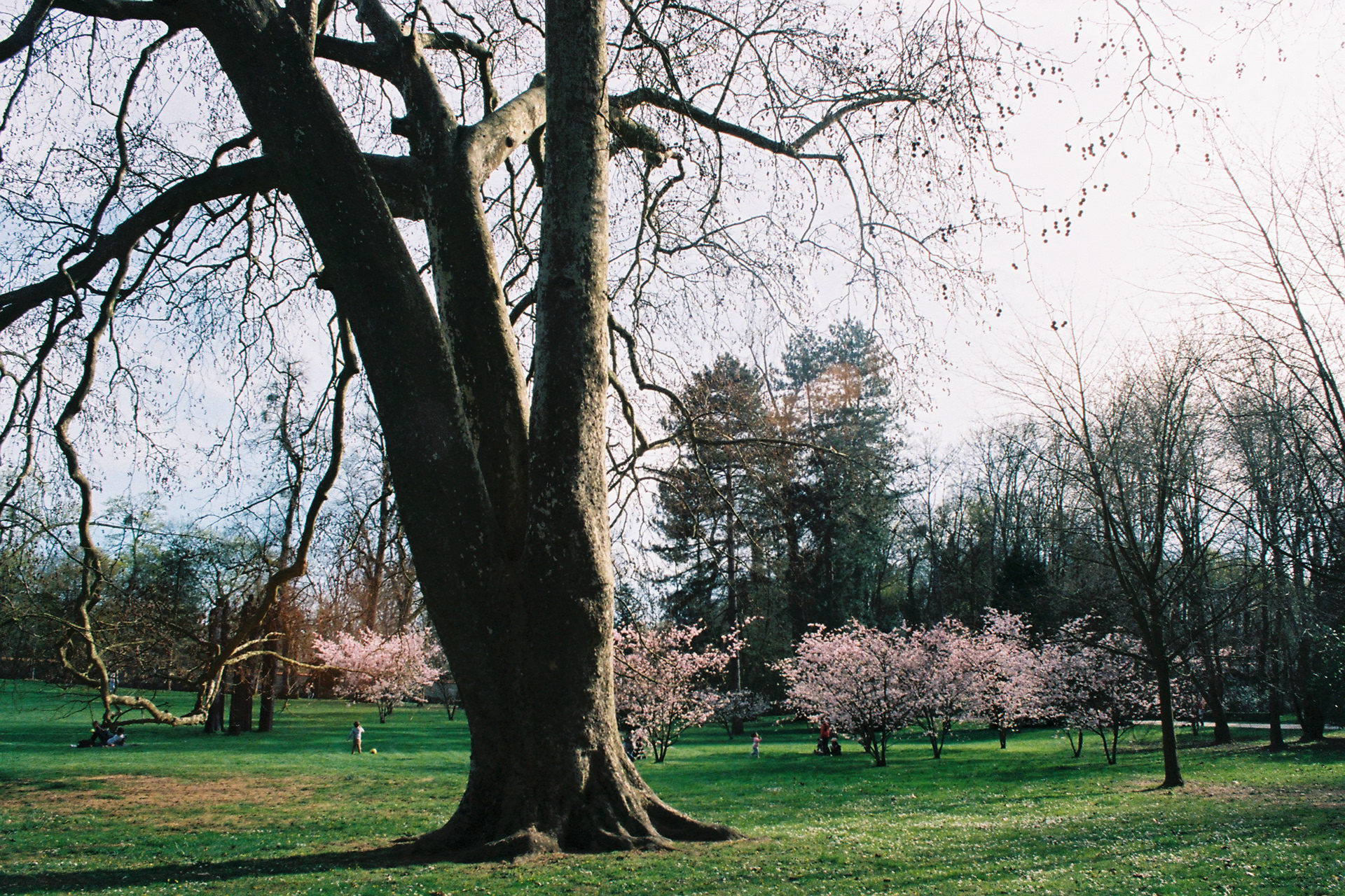 Essonne © Astrid Karoual