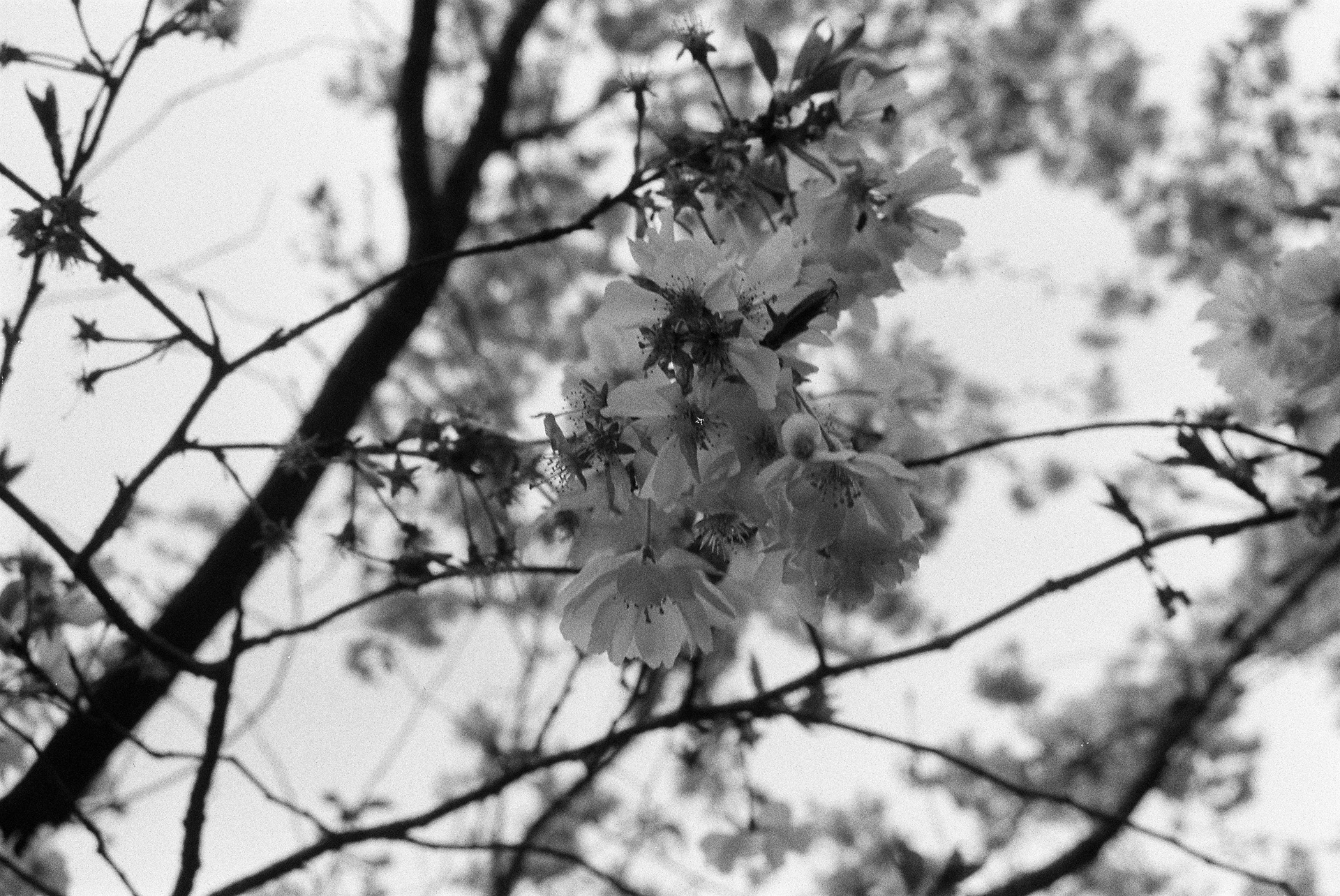 Maine-et-Loire © Astrid Karoual