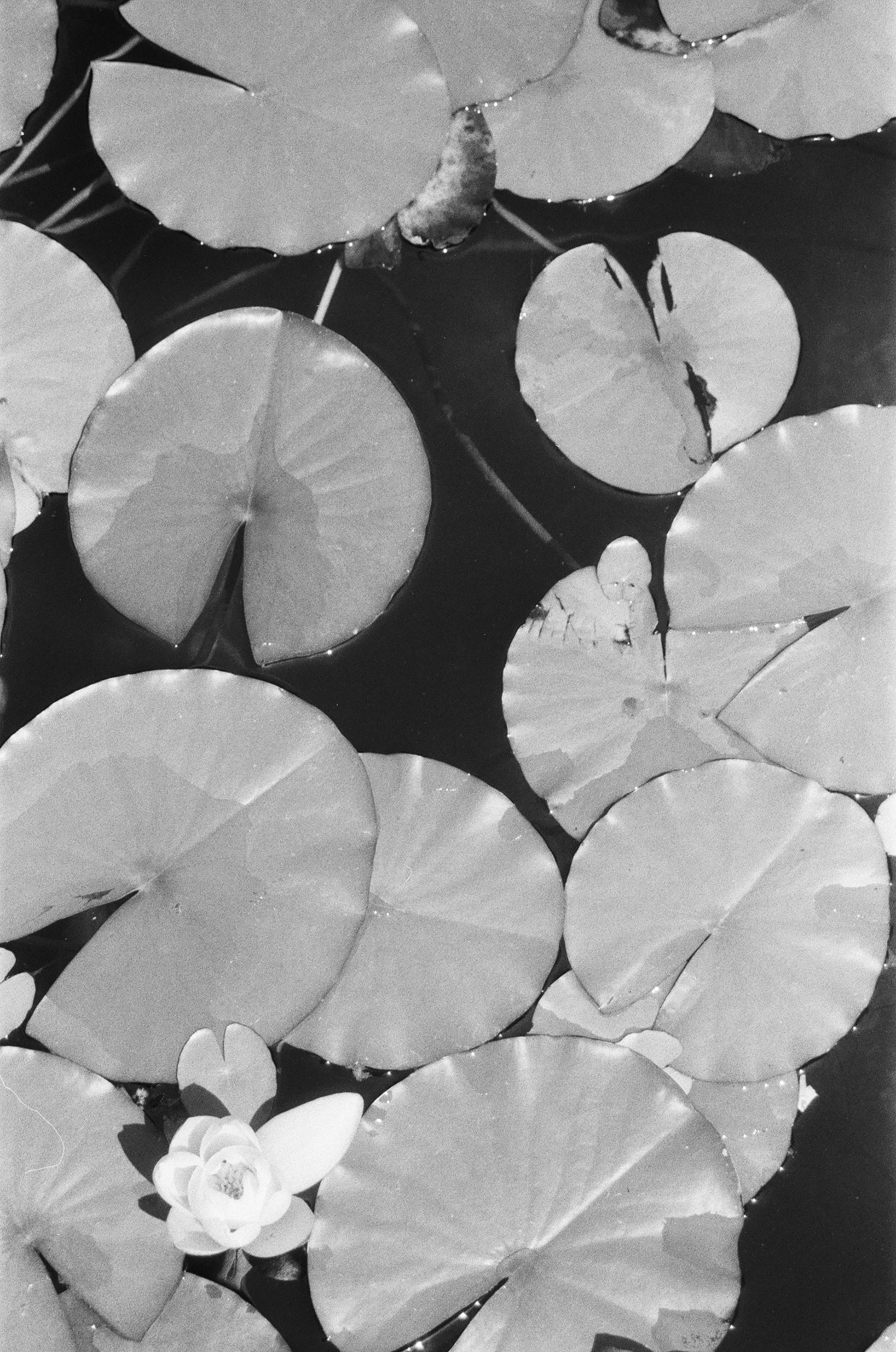 Drôme © Astrid Karoual