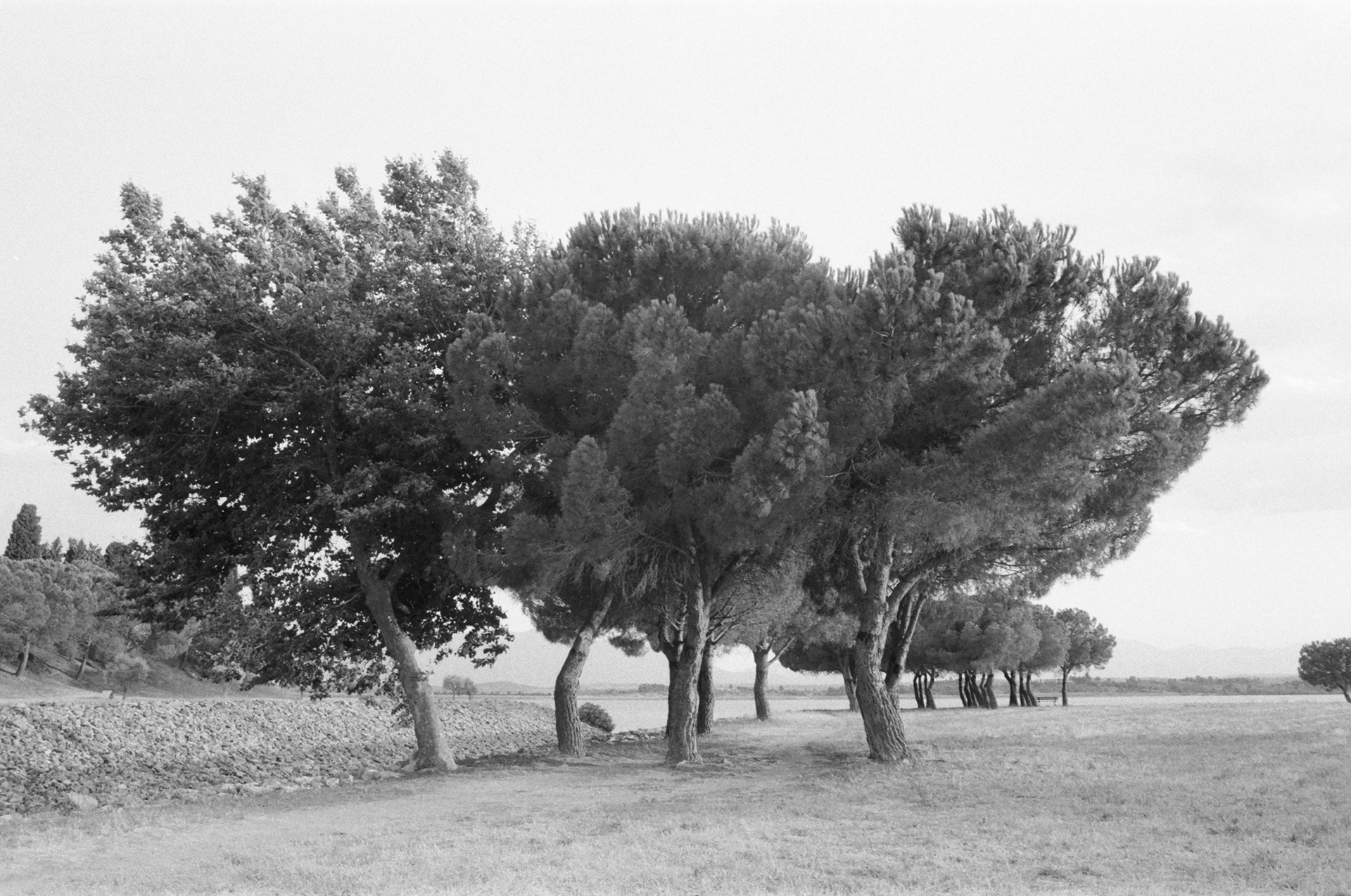 Perpignan © Astrid Karoual