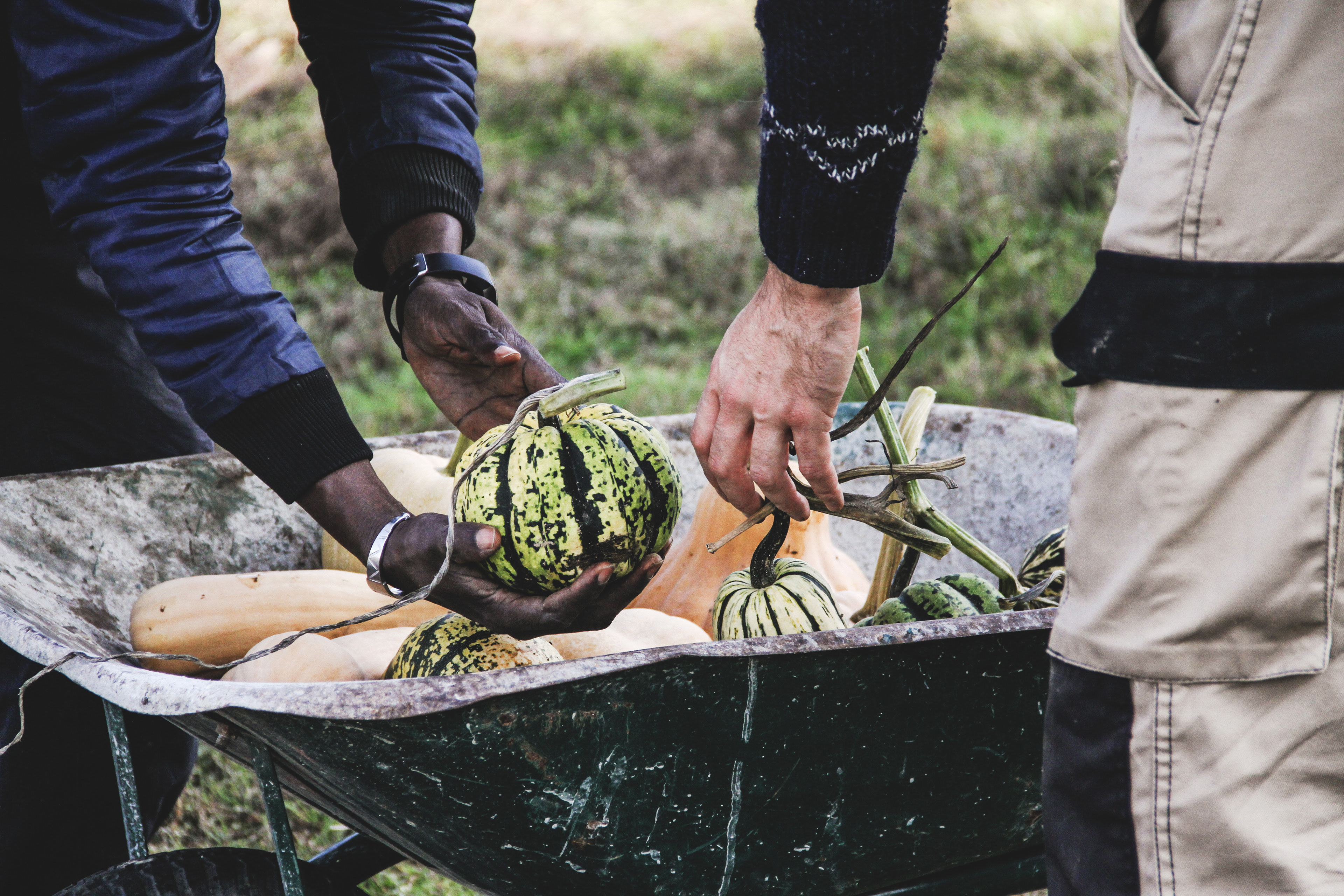 Lombrics Utopiques en Loire-Atlantique (Ouest France) © Astrid Karoual