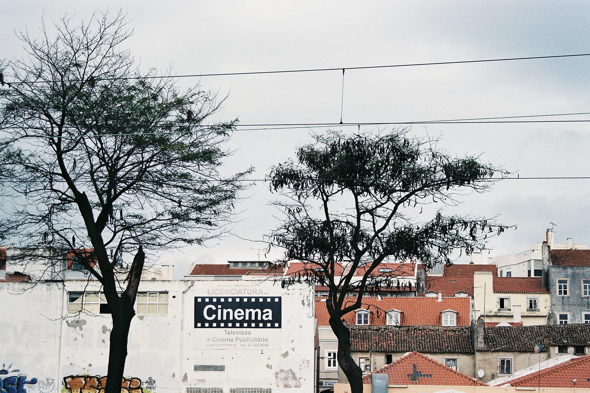 Lisbonne (Portugal) © Astrid Karoual