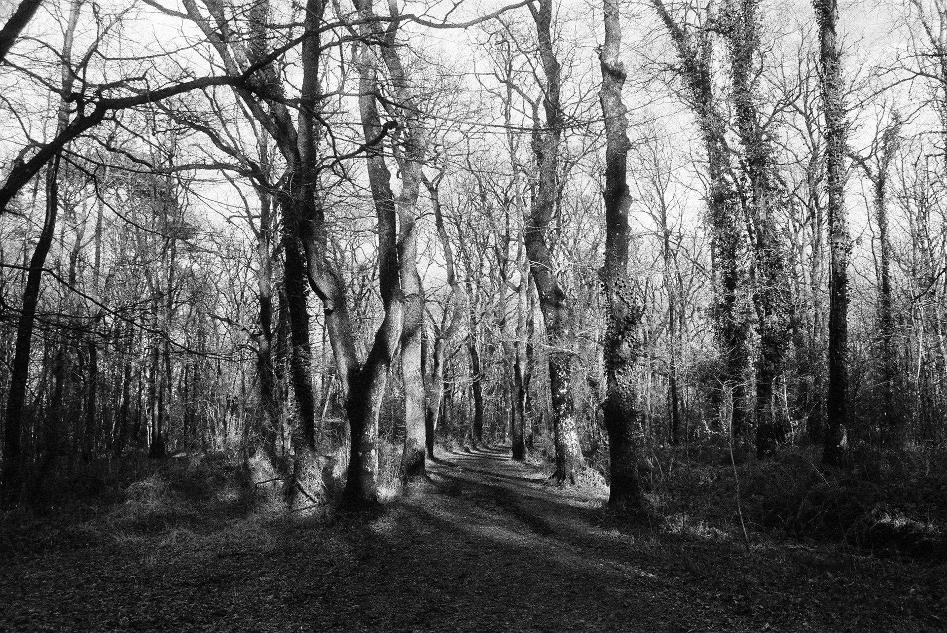 Loire-Atlantique © Astrid Karoual