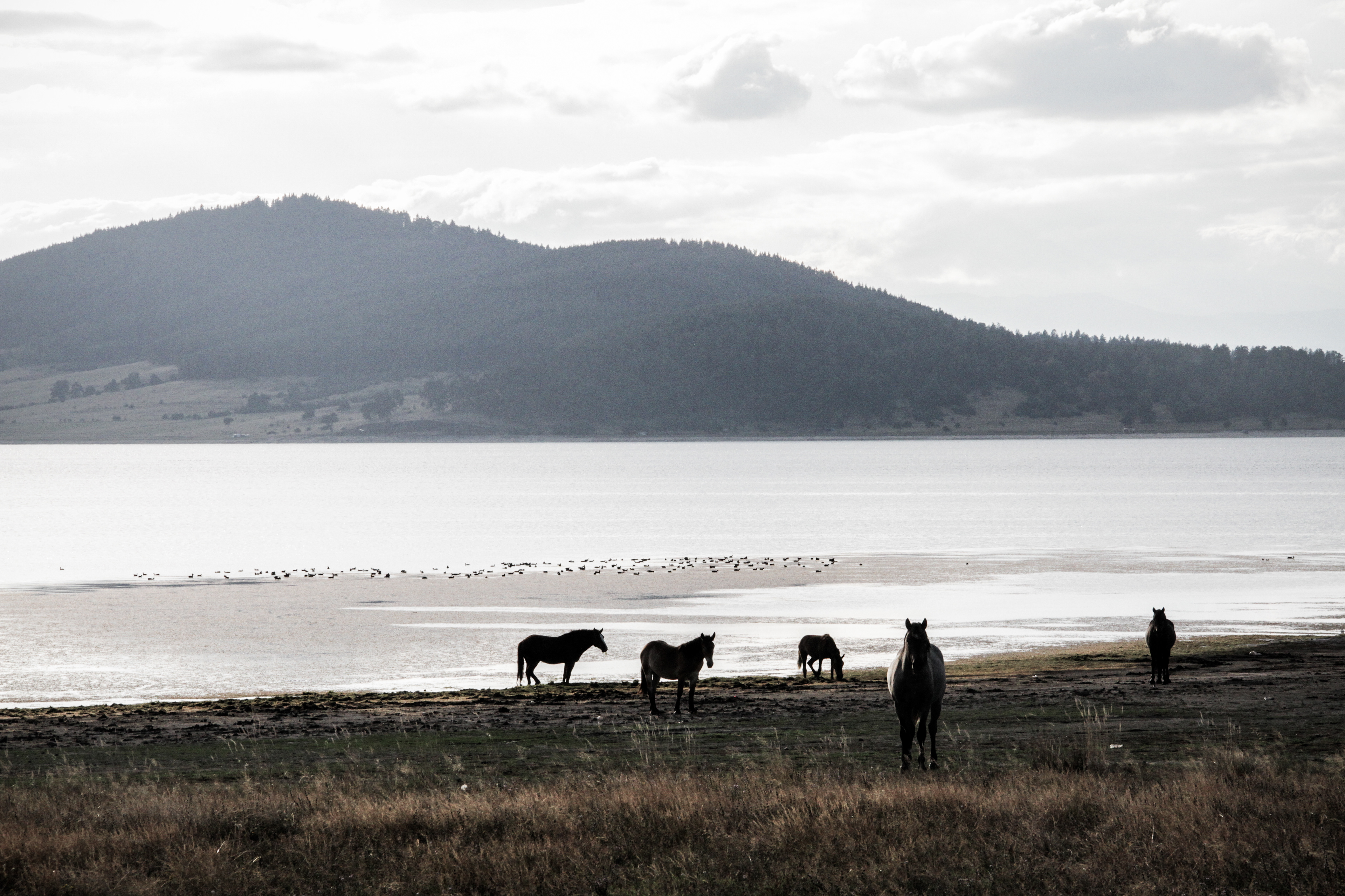 Lac de Batak (Bulgarie) © Astrid Karoual