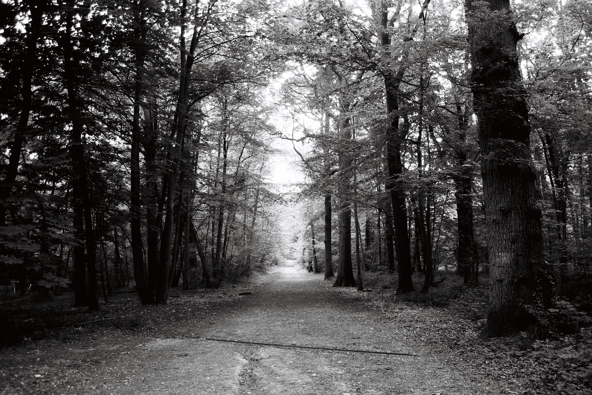 Seine-et-Marne © Astrid Karoual