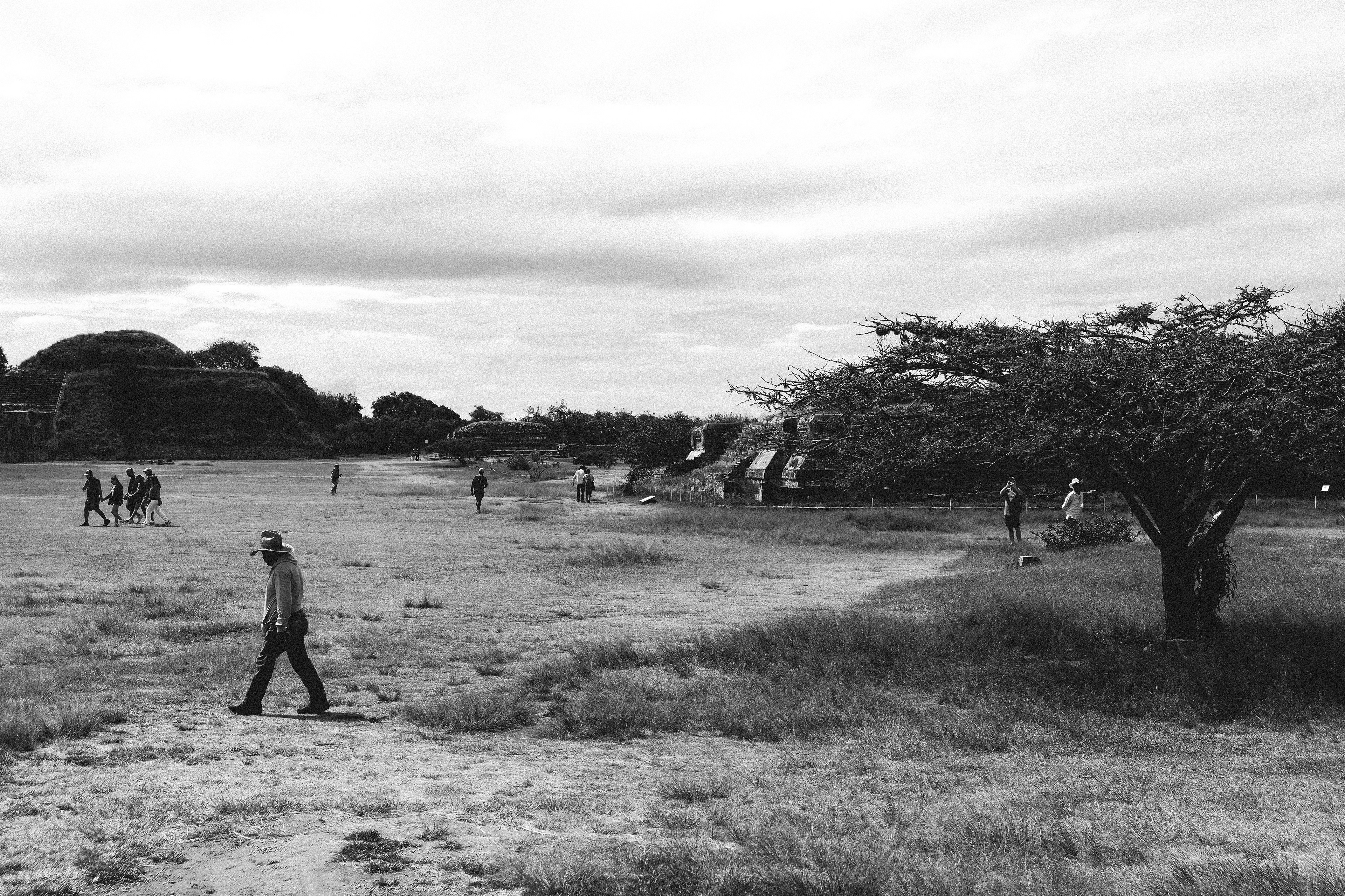 Monte Alban (Mexique) © Astrid Karoual
