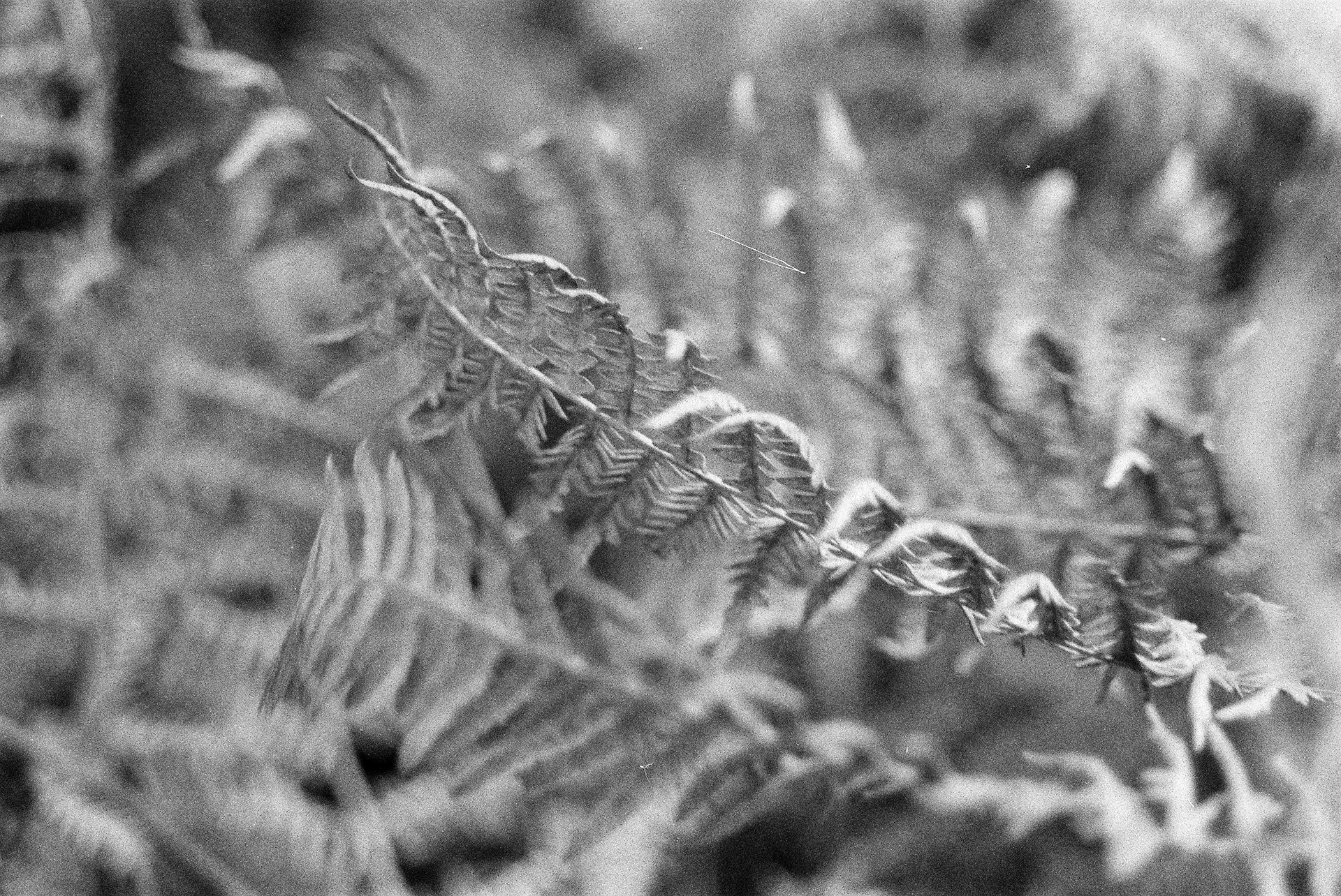 Loire-Atlantique © Astrid Karoual