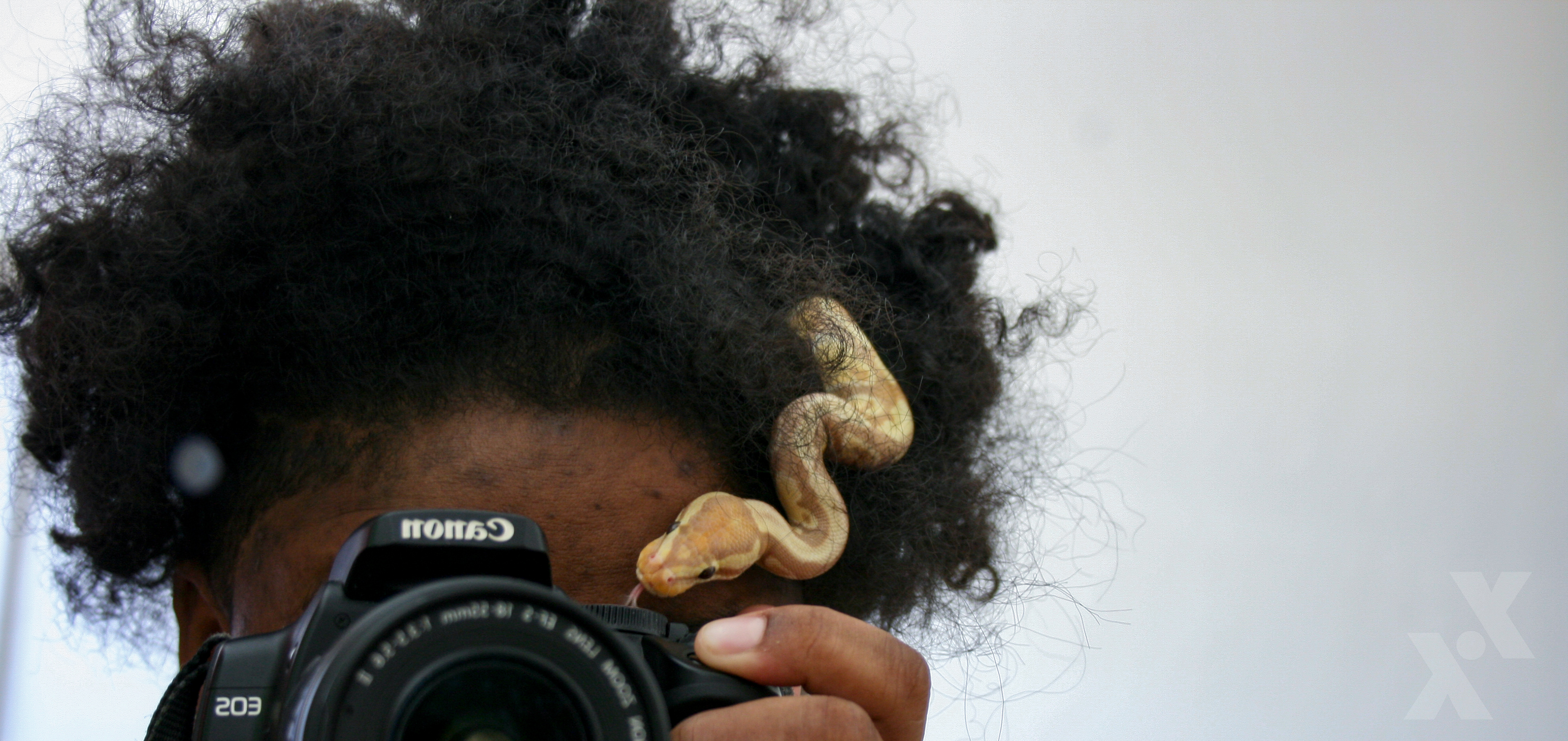 Self-Portrait + Oscar (2020)