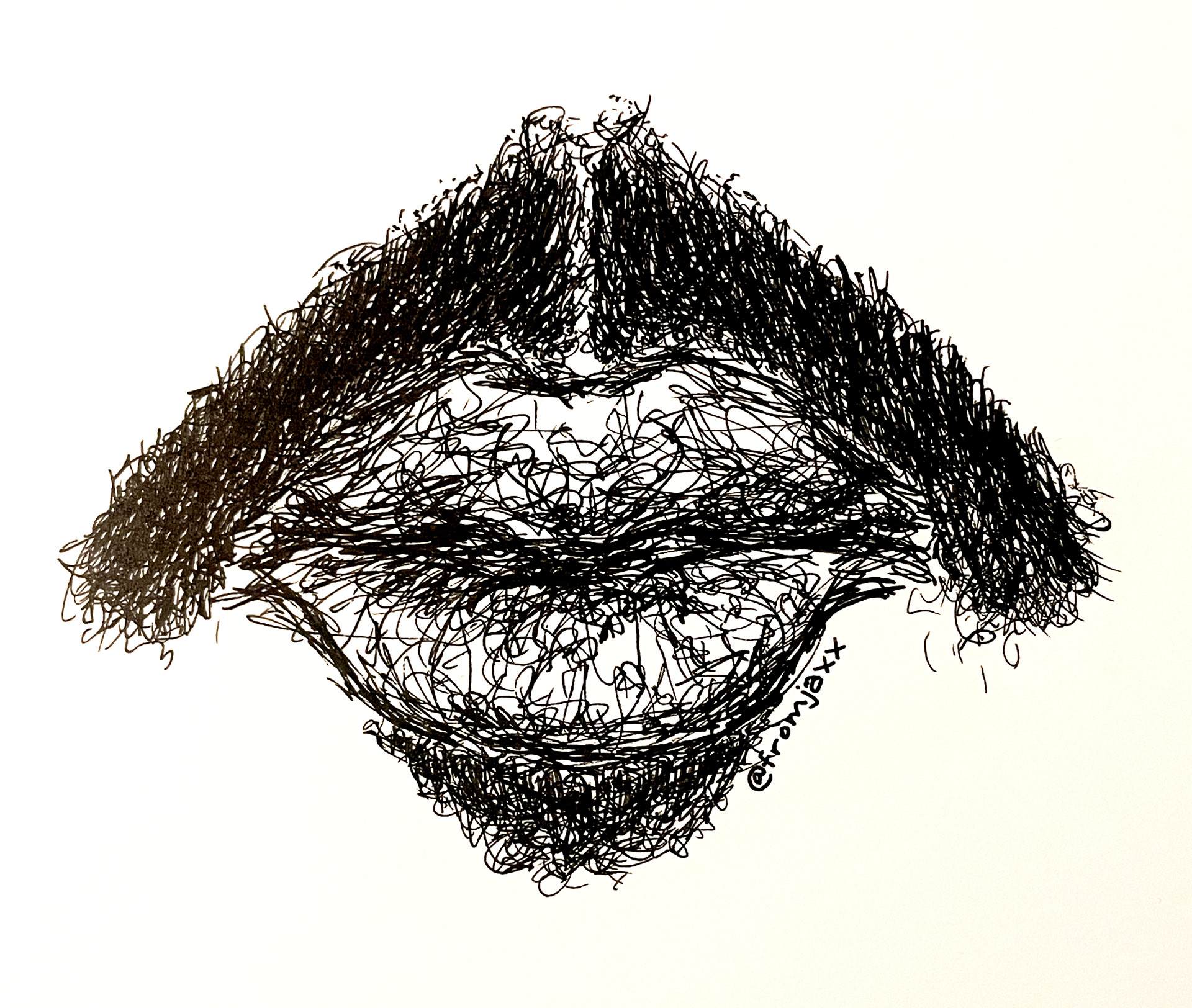 Mouf (Pilot Precise V5)