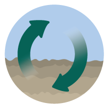 Regenerative Soil