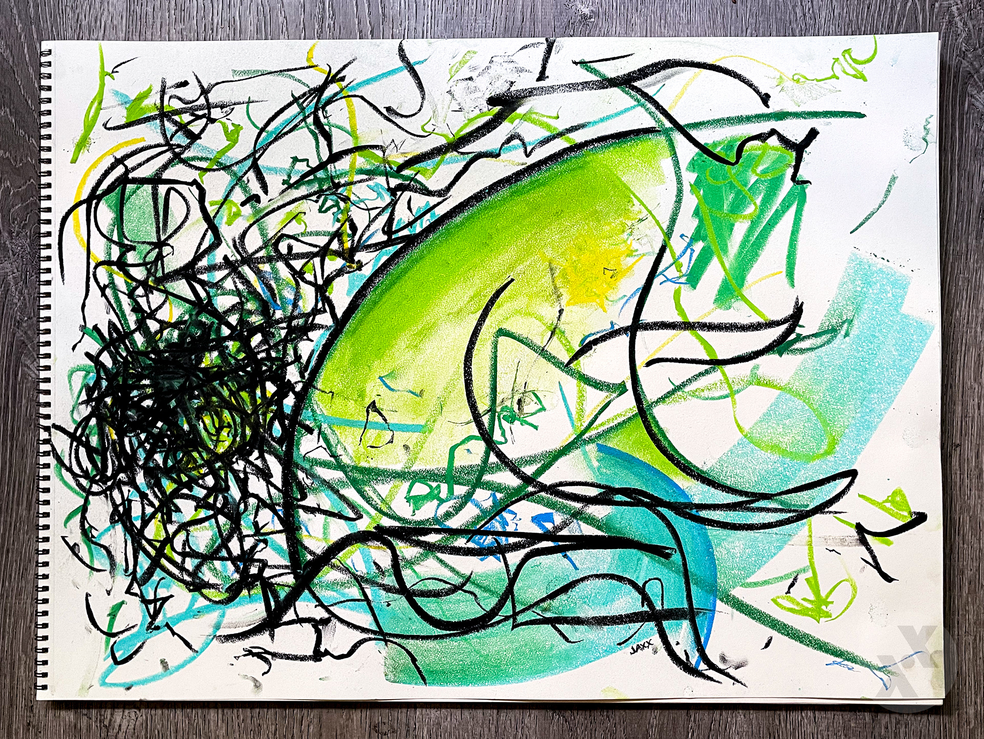 s h i e l d, 2022. (oil pastel)