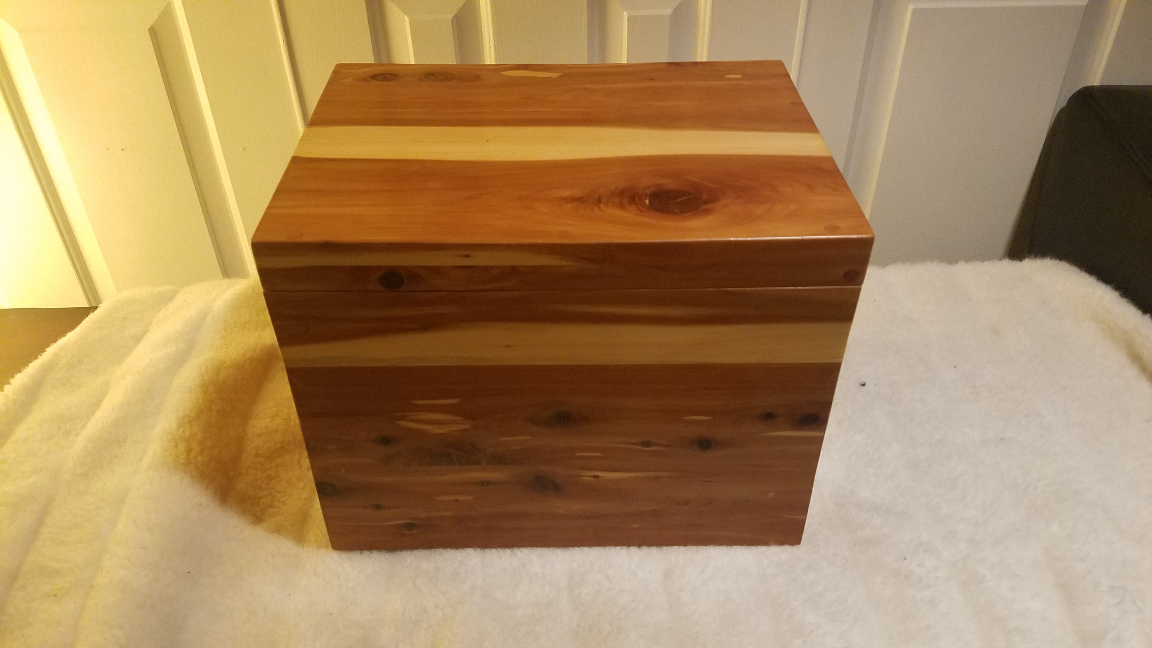 Cedar File-box (brass fittings)