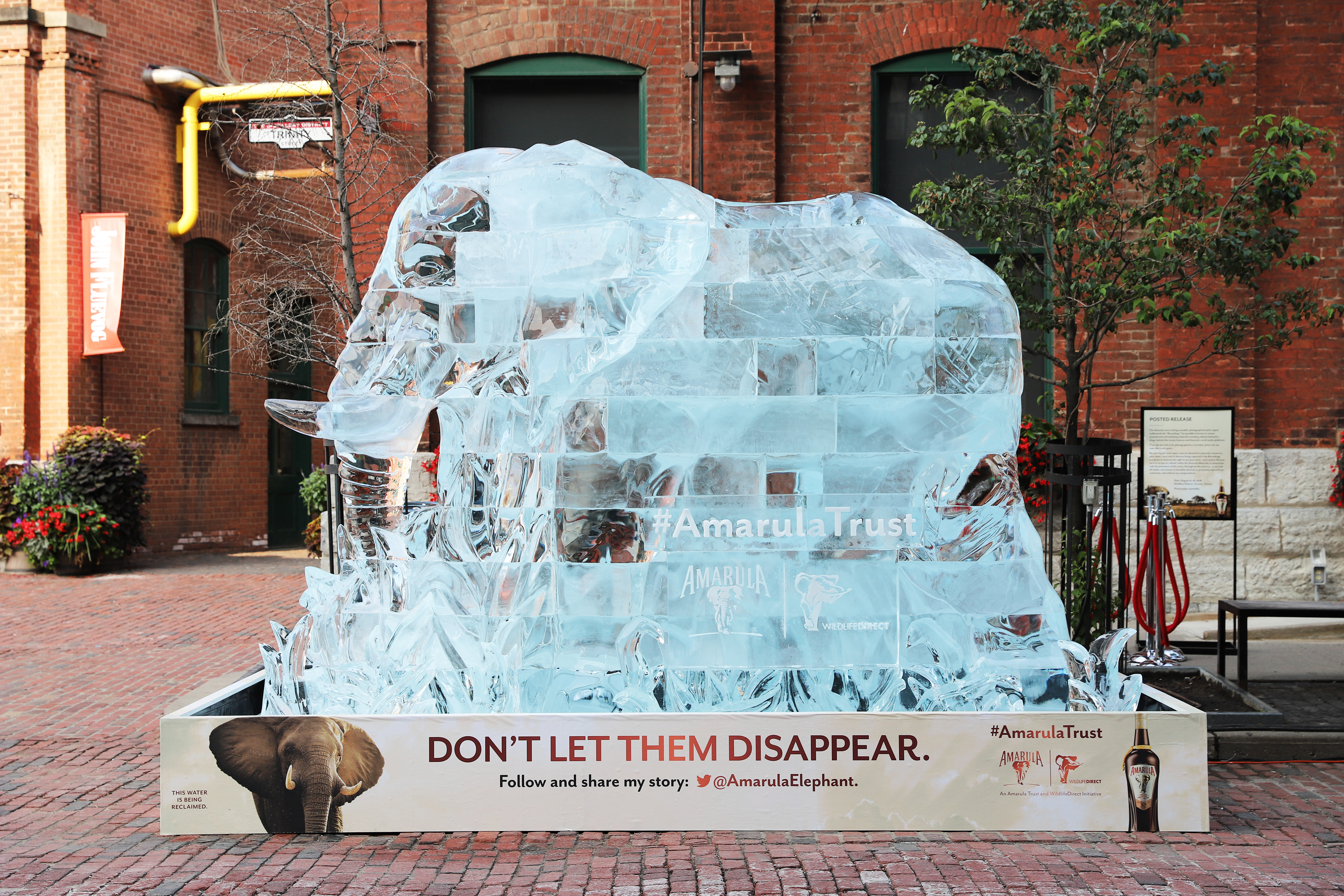 A life-sized ice sculpture of an African elephant stands in Toronto’s Distillery District.