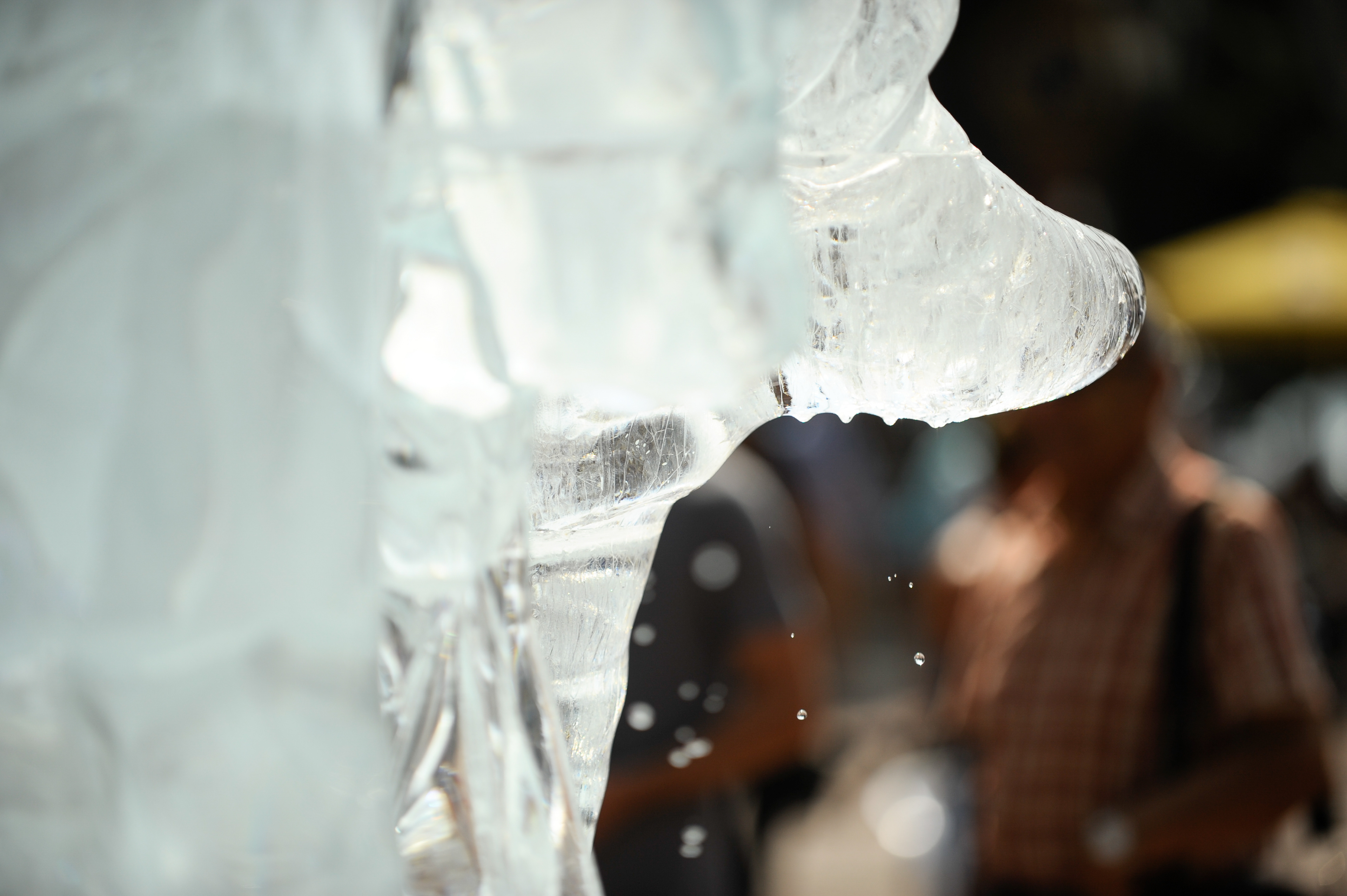 Water drips off the Amarula elephant ice sculpture.