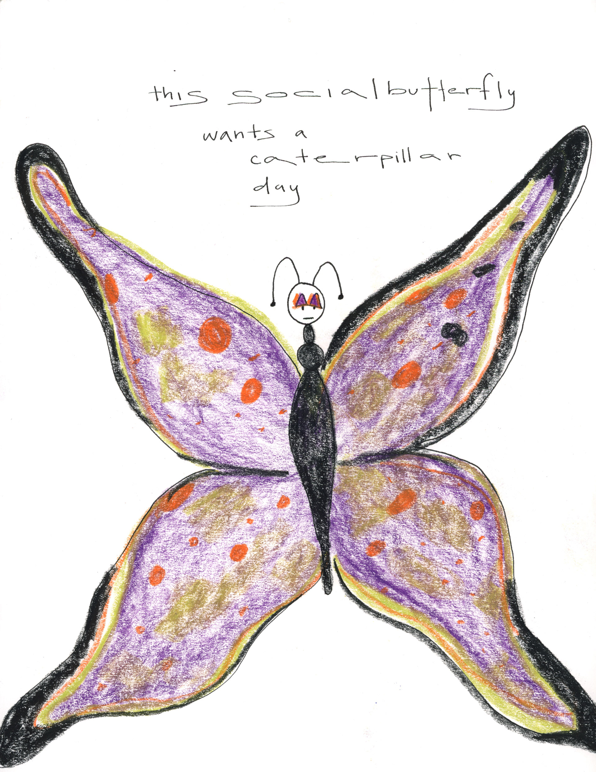 social butterfly