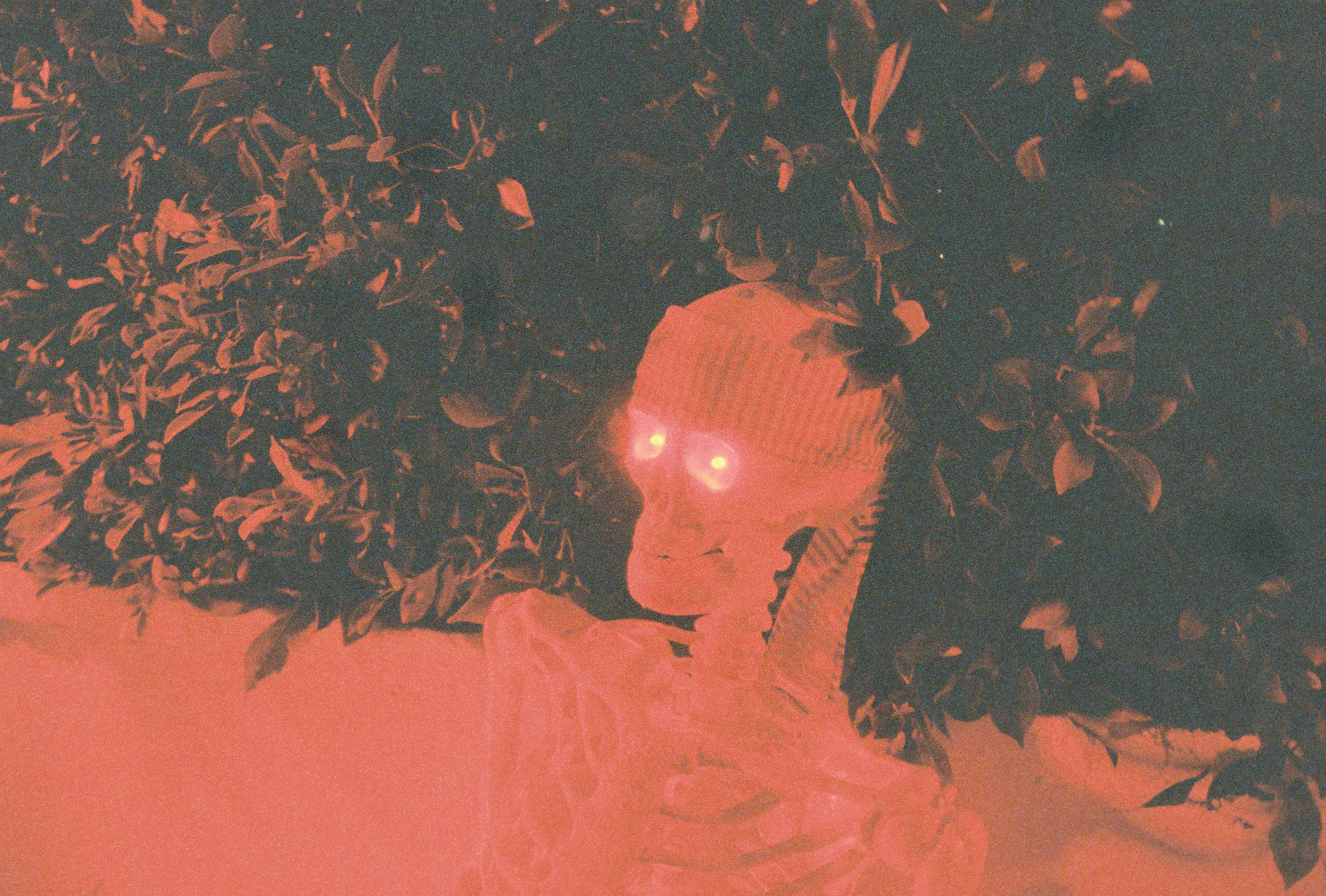 Get Well Soon on Cinestill 800t