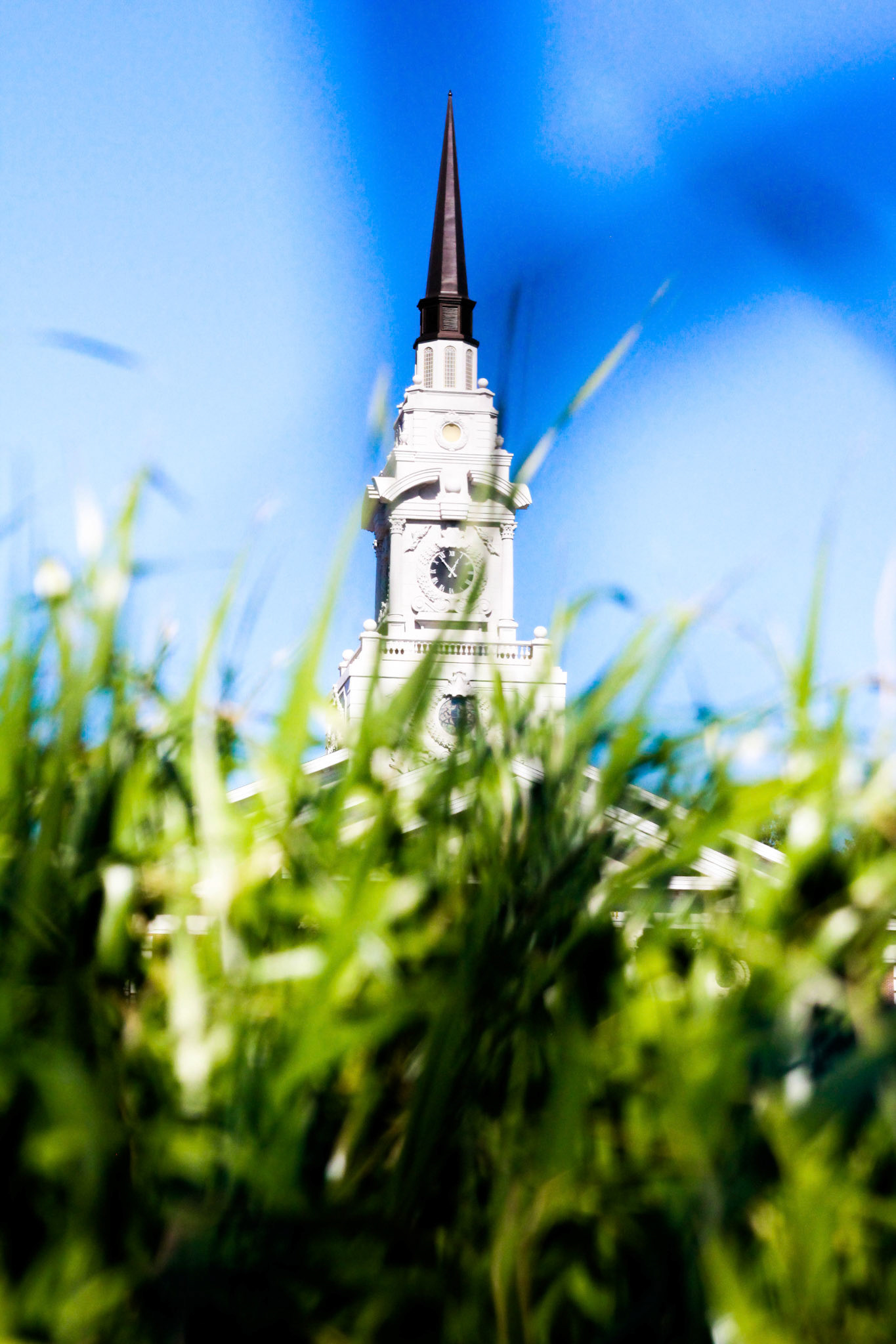 Church Behind The Grass