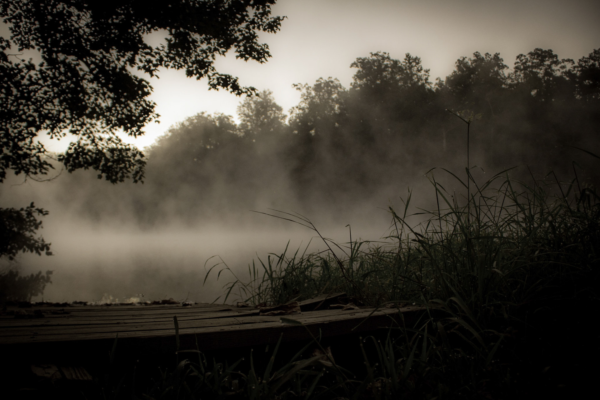 Forgotten By The River