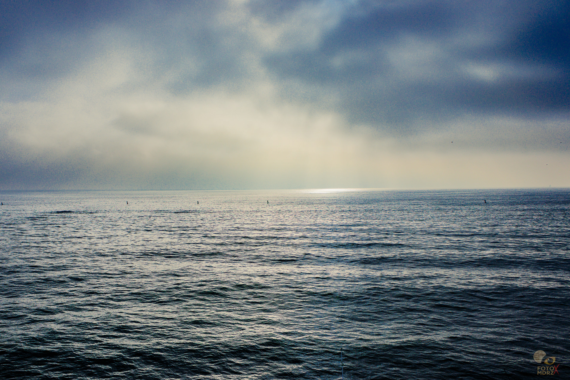 Noviembre, 2025. Mar californiano.