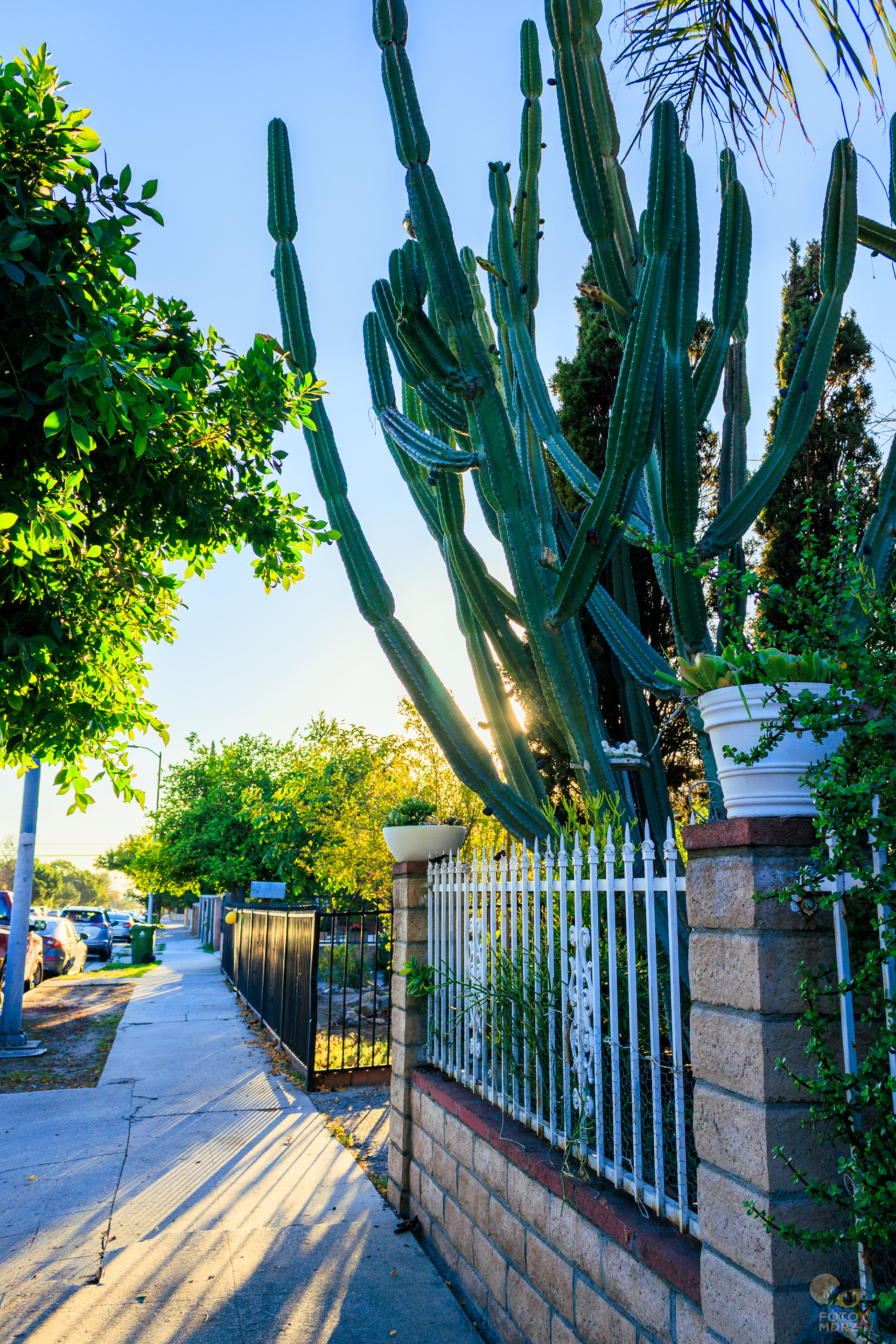 Octubre 2025. Pacoima, Los Ángeles. Estados Unidos.